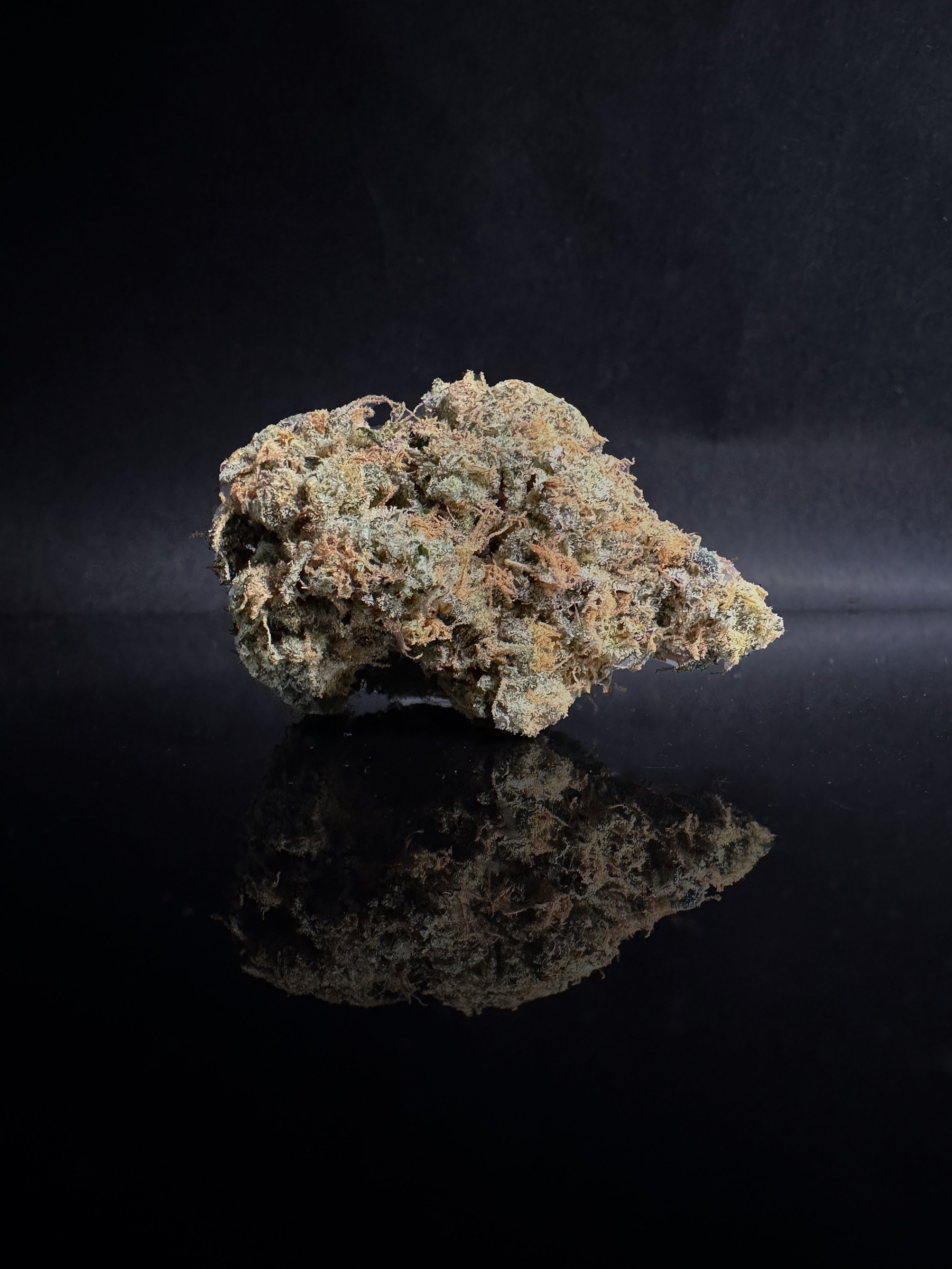 Death Star x Skunk Dog - Funk House Farm