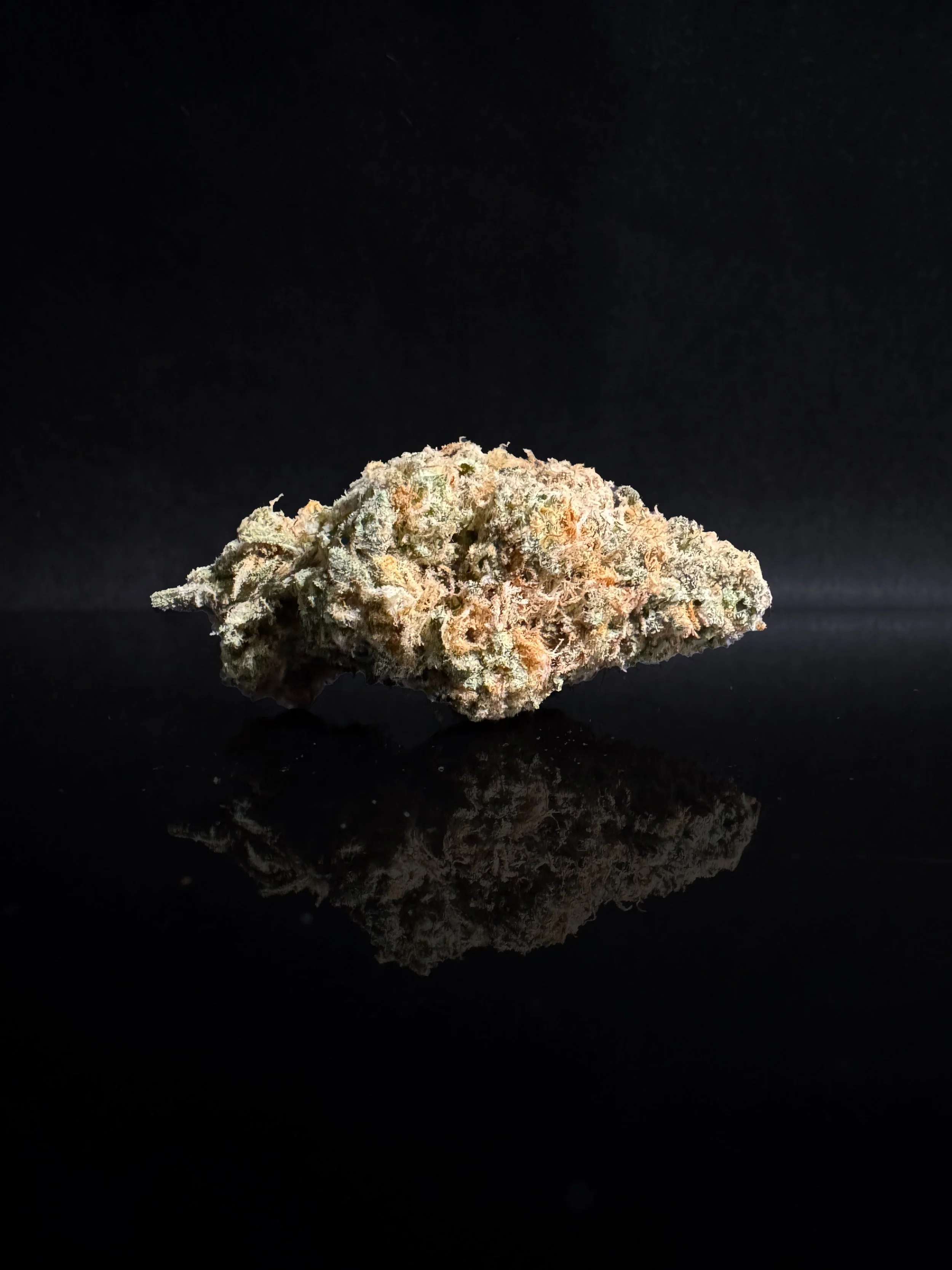 GMO x G41 - Blueprint