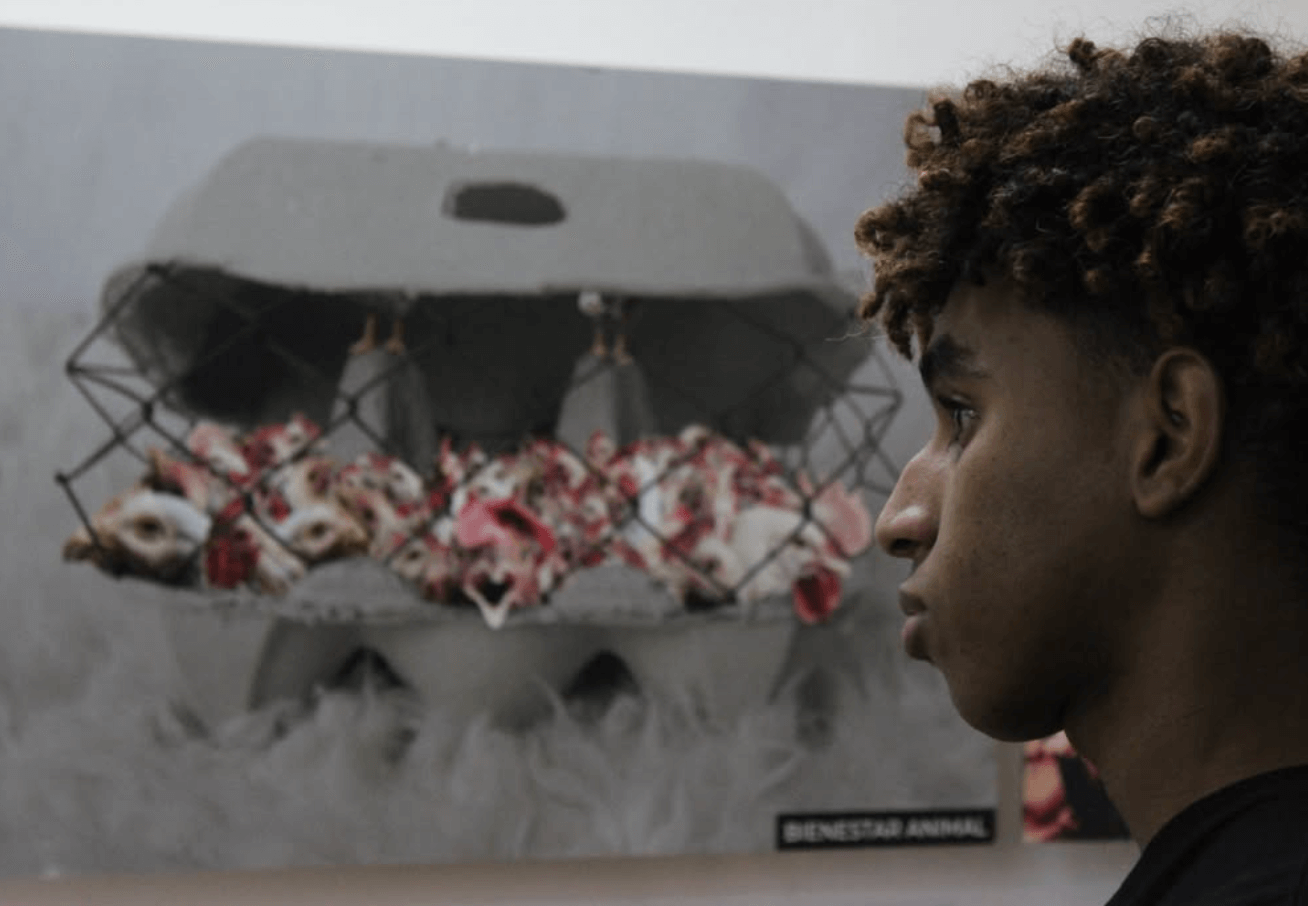 Social Media Content