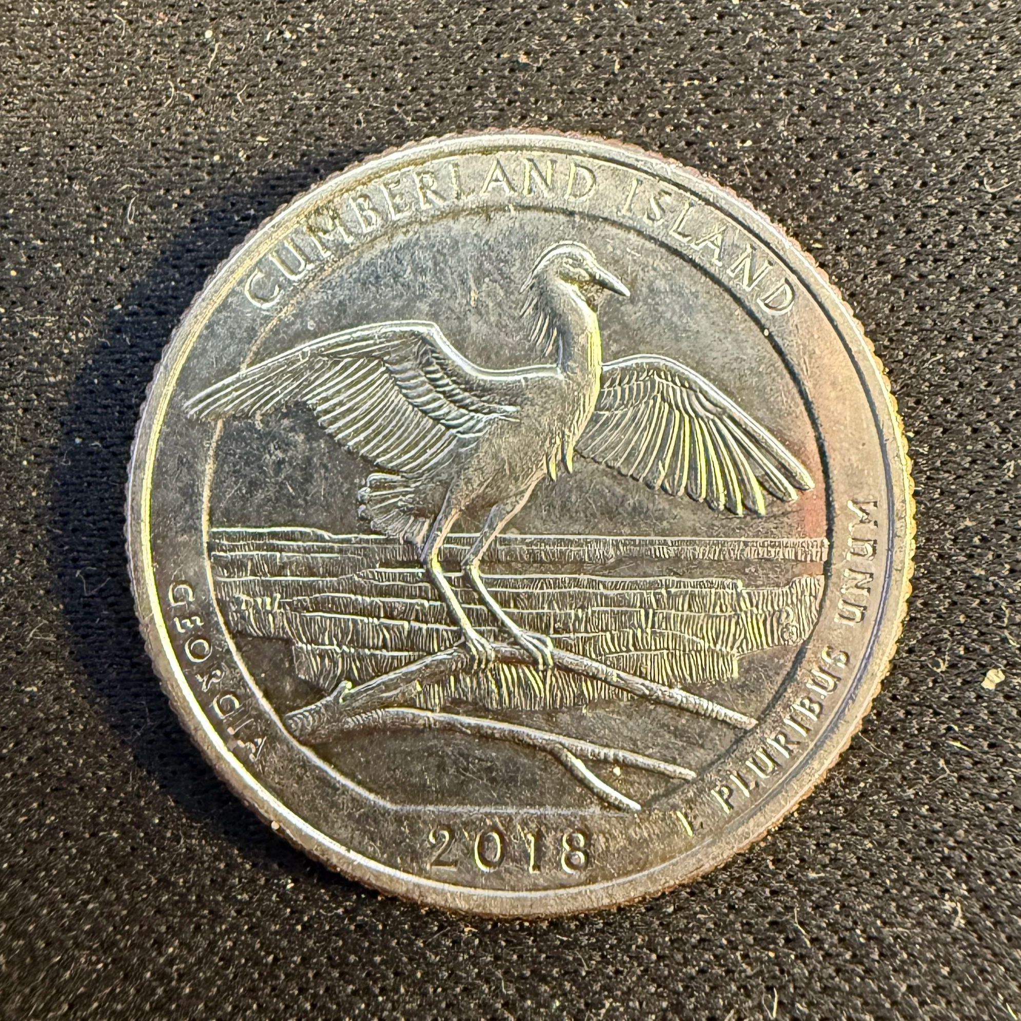 IMG_2082.png