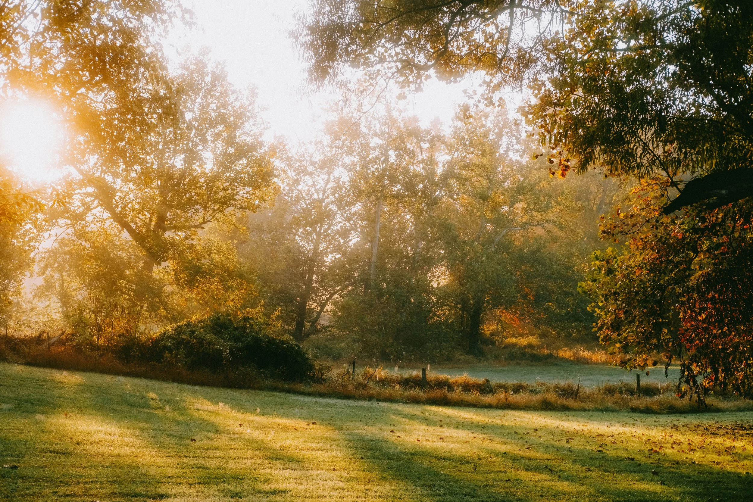 10.4morningWalk-32.jpg