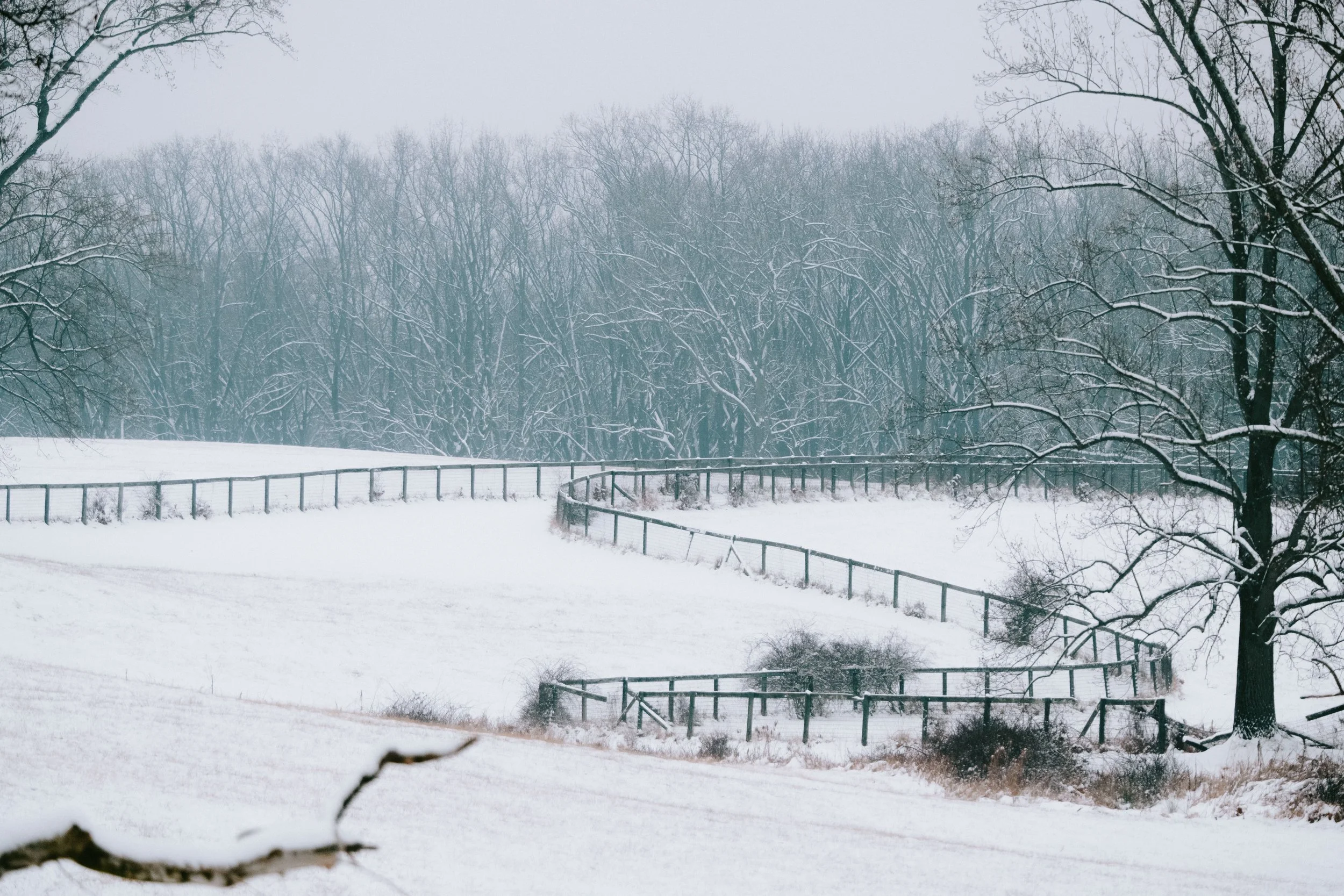 snow1.16.23-29.jpg