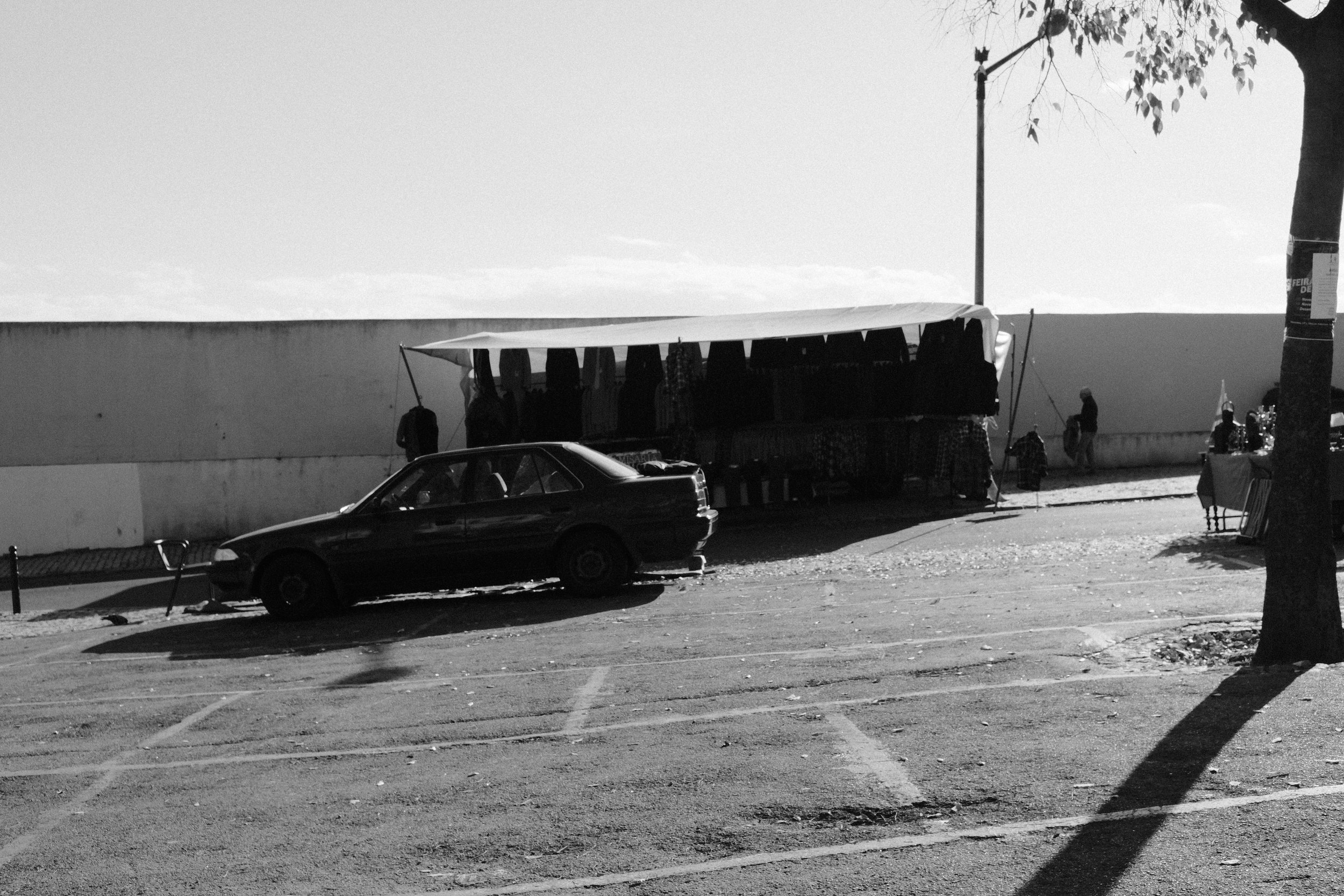 DSCF8083.jpg