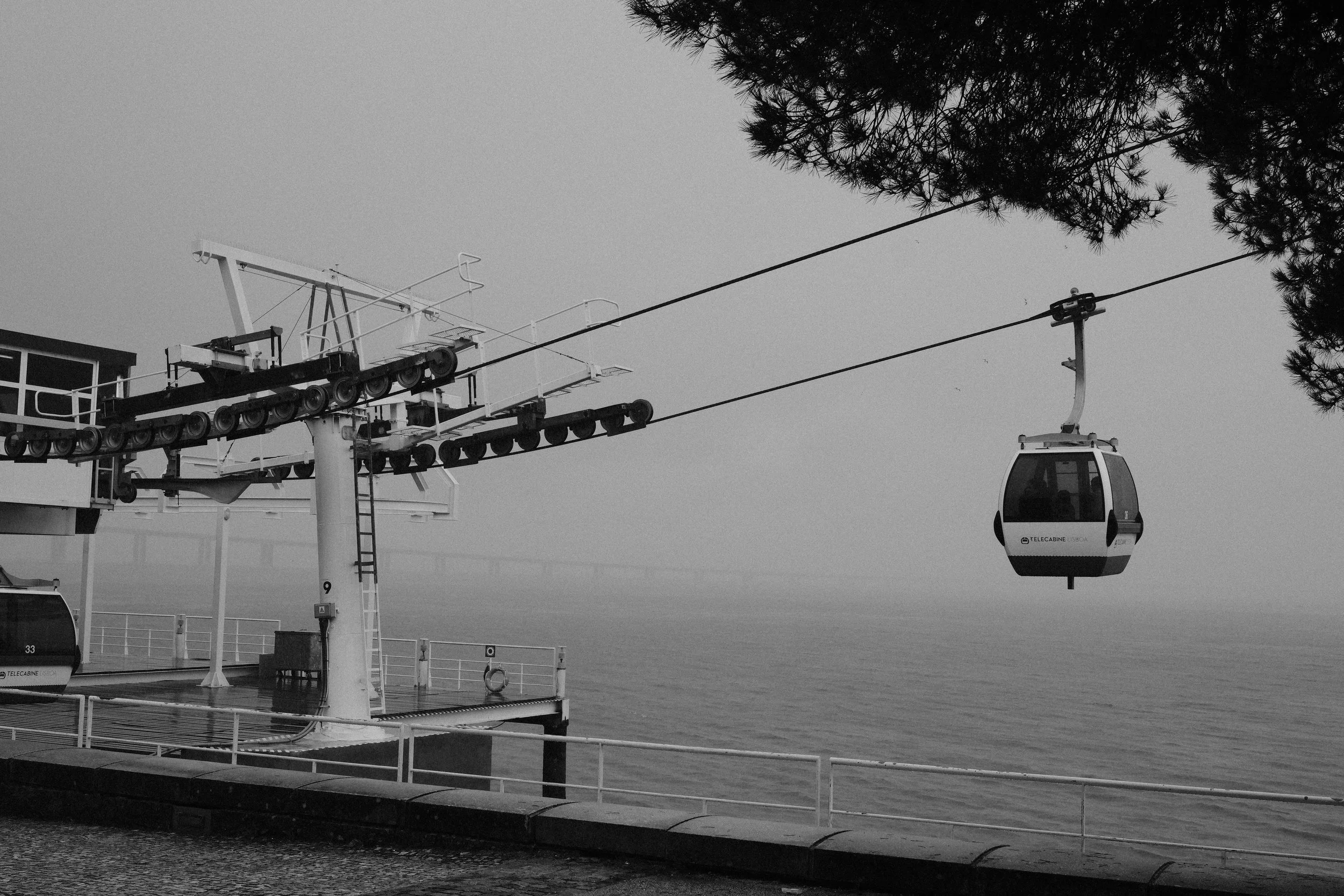 DSCF8486.jpg