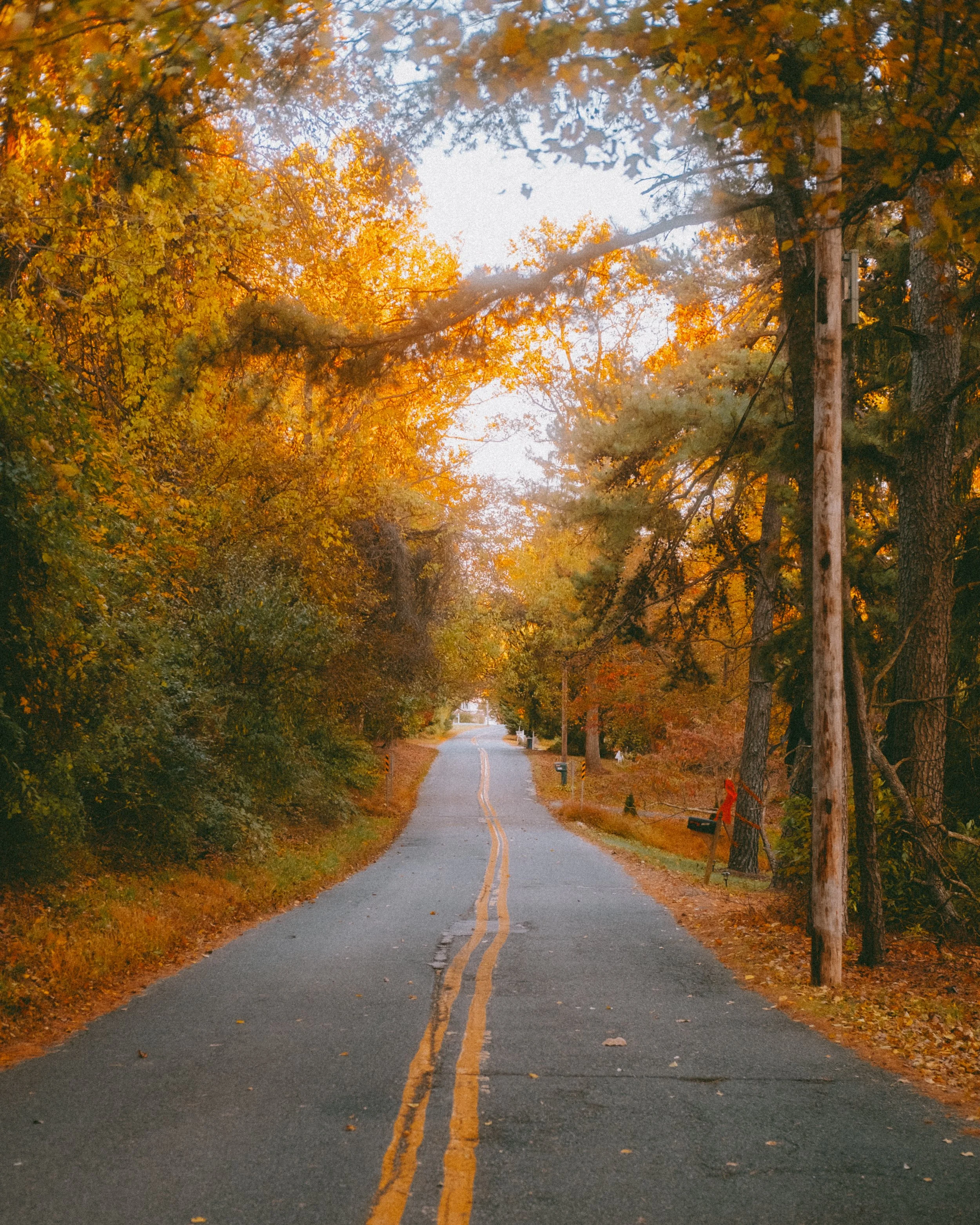 fallWalk10.22-3.jpg