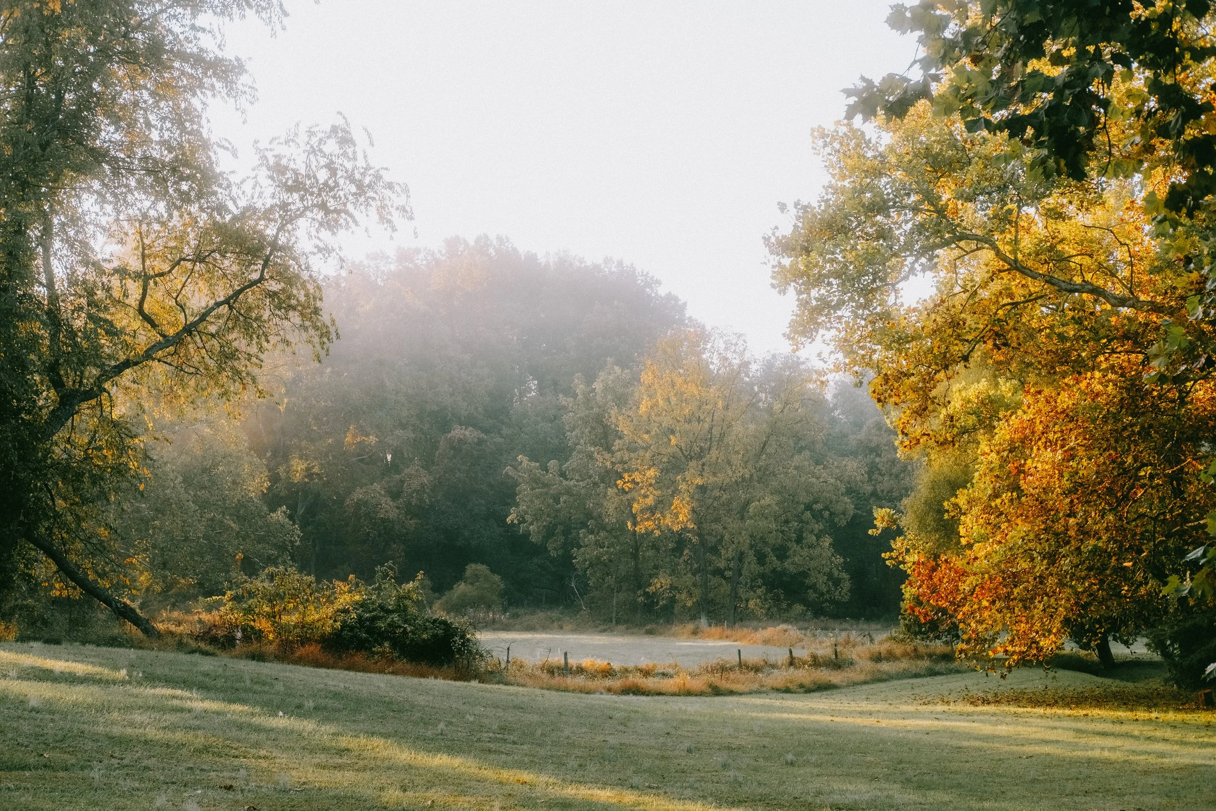 10.4morningWalk-29.jpg