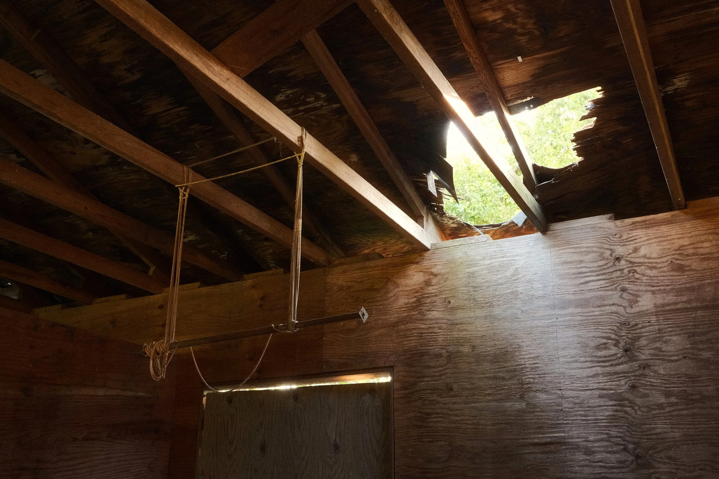 DSCF2157.jpg