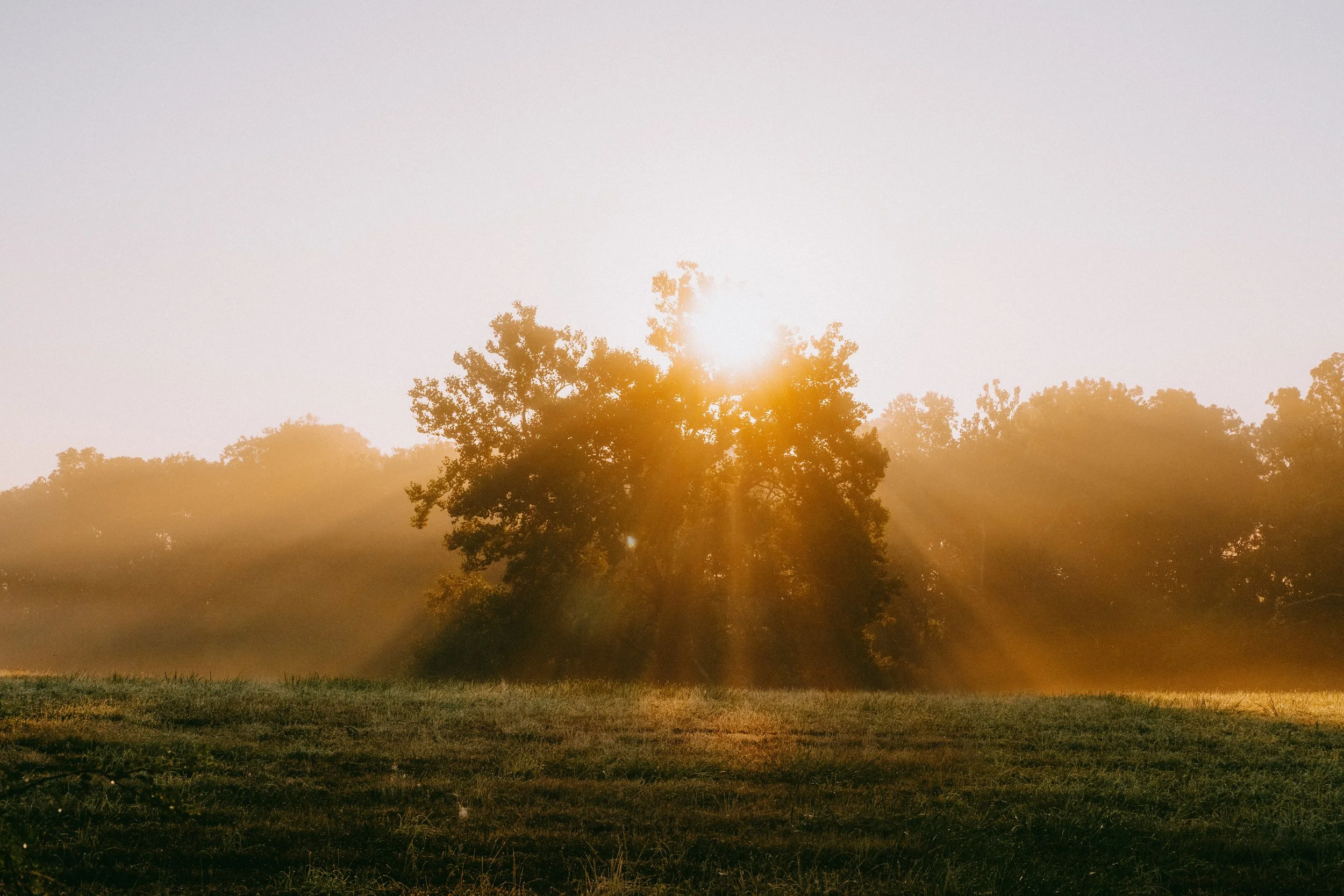 10.4morningWalk-24.jpg