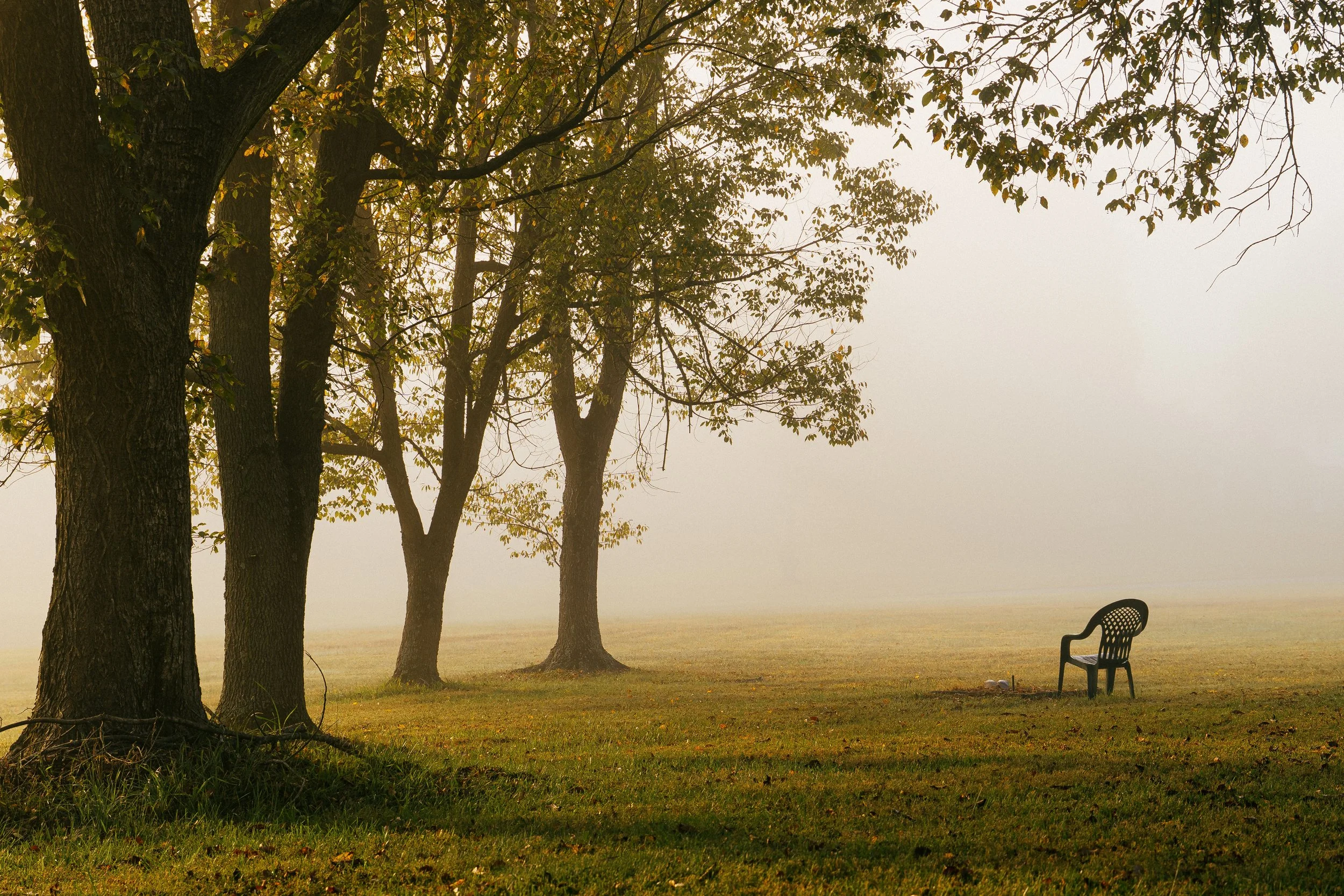 foggyMorningStillsRE-5.jpg