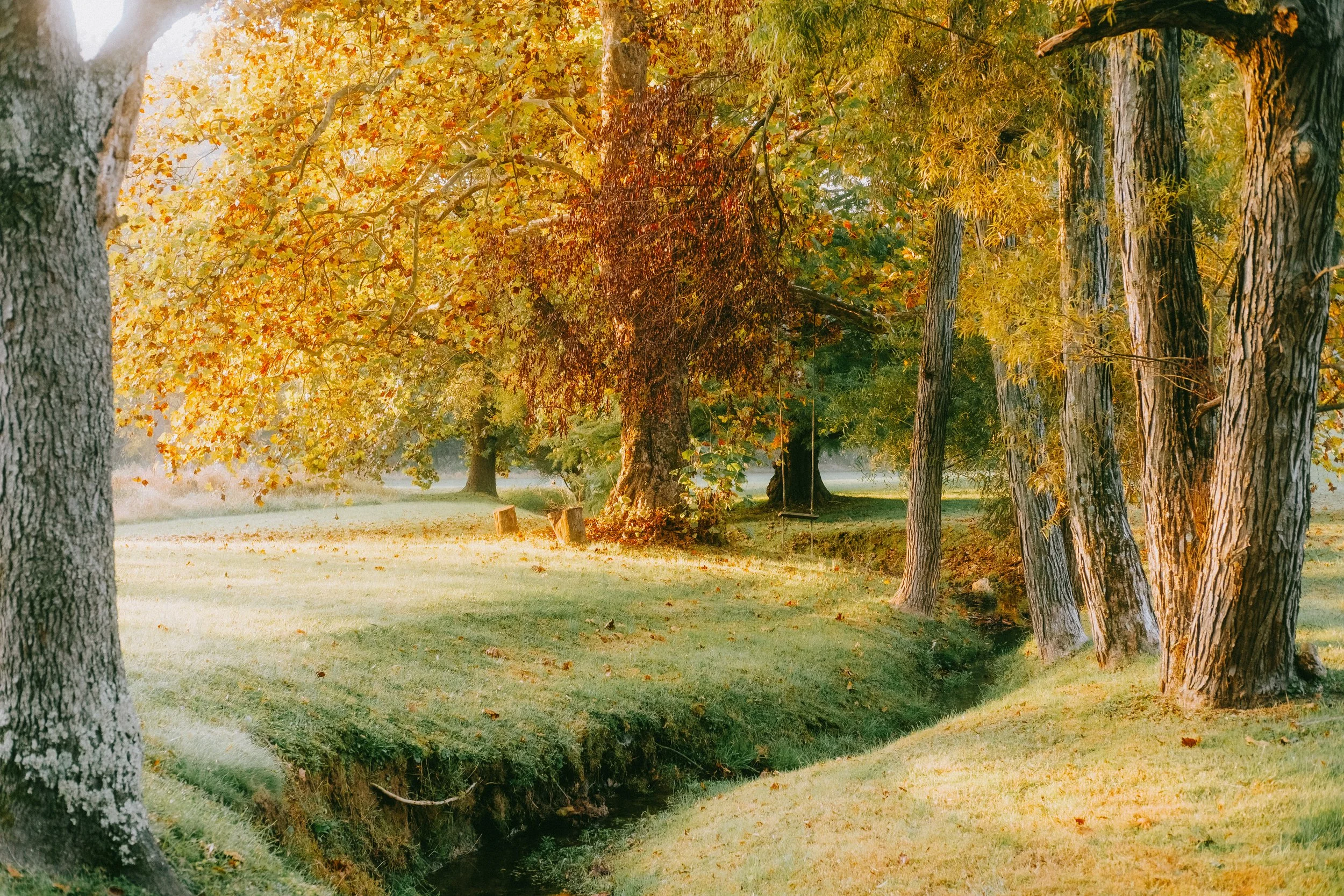 10.4morningWalk-31.jpg