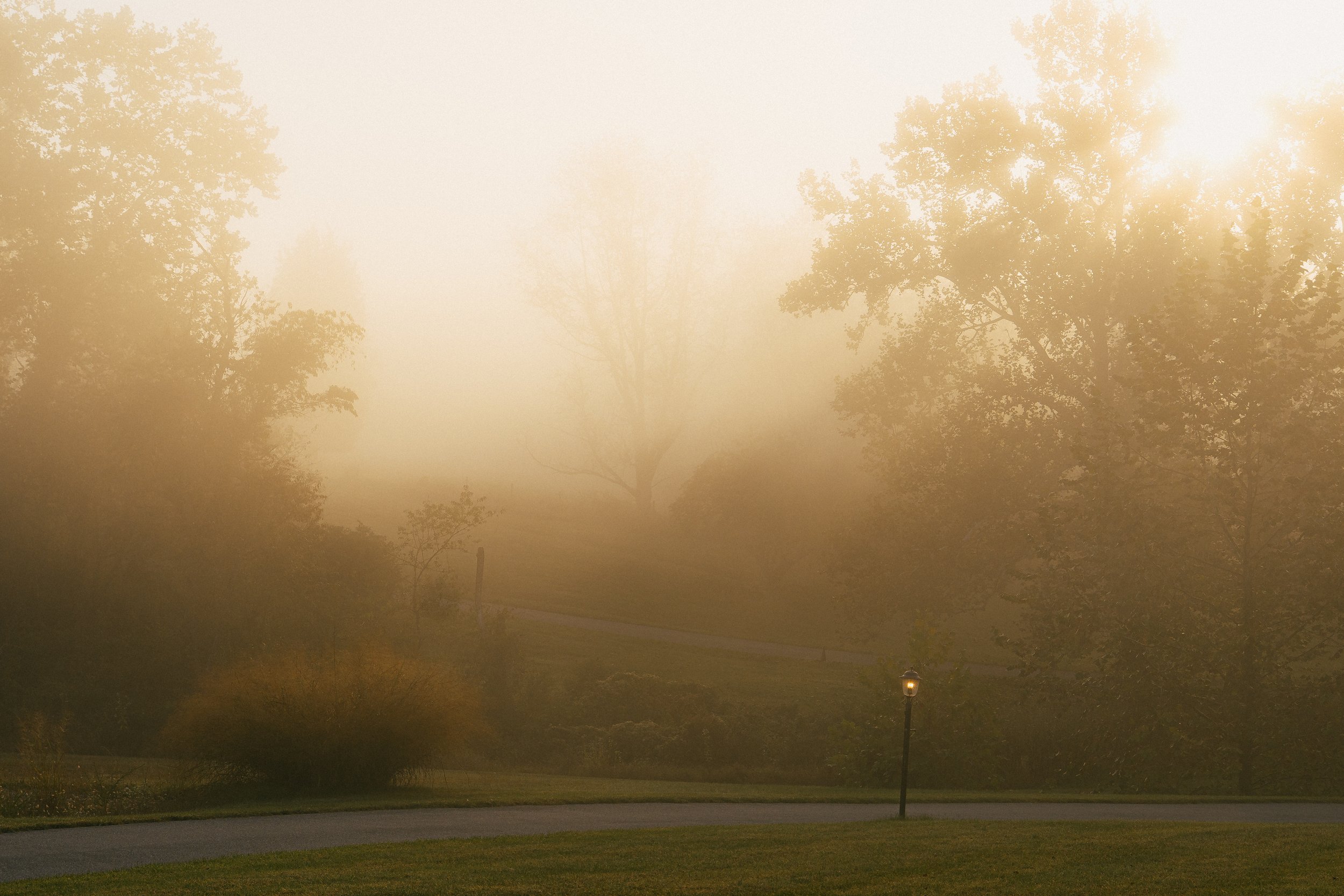 foggyMorningStillsRE-4.jpg