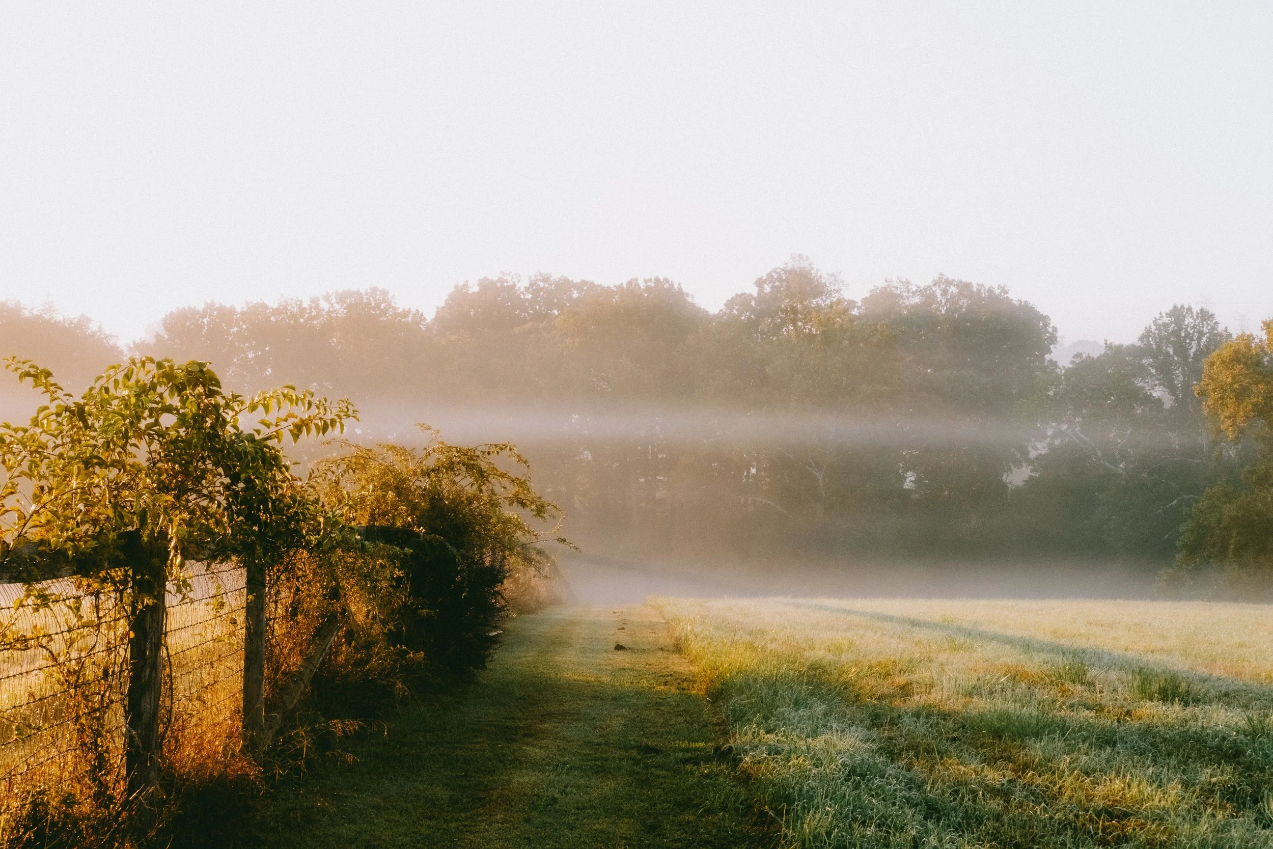 10.4morningWalk-9.jpg