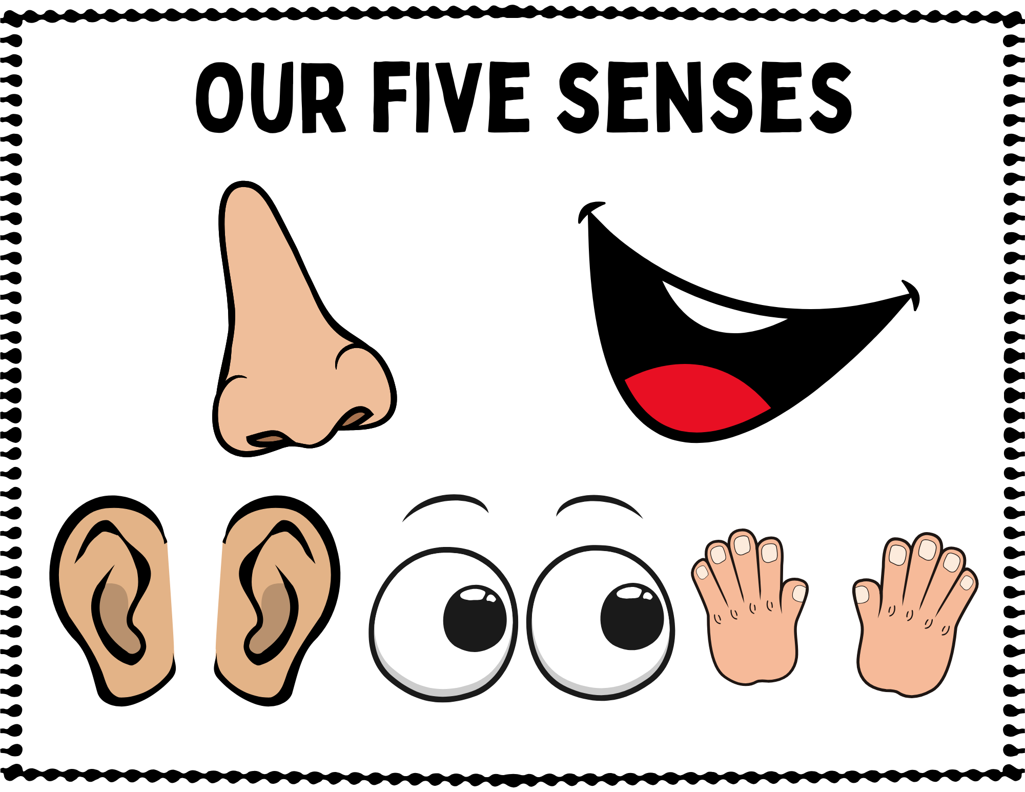 Five Senses Activities