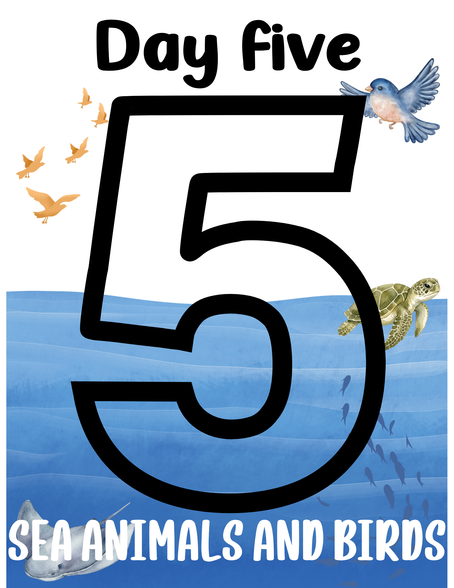 5.png