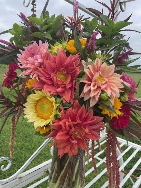 Saturday Morning U-Pick Flowers
