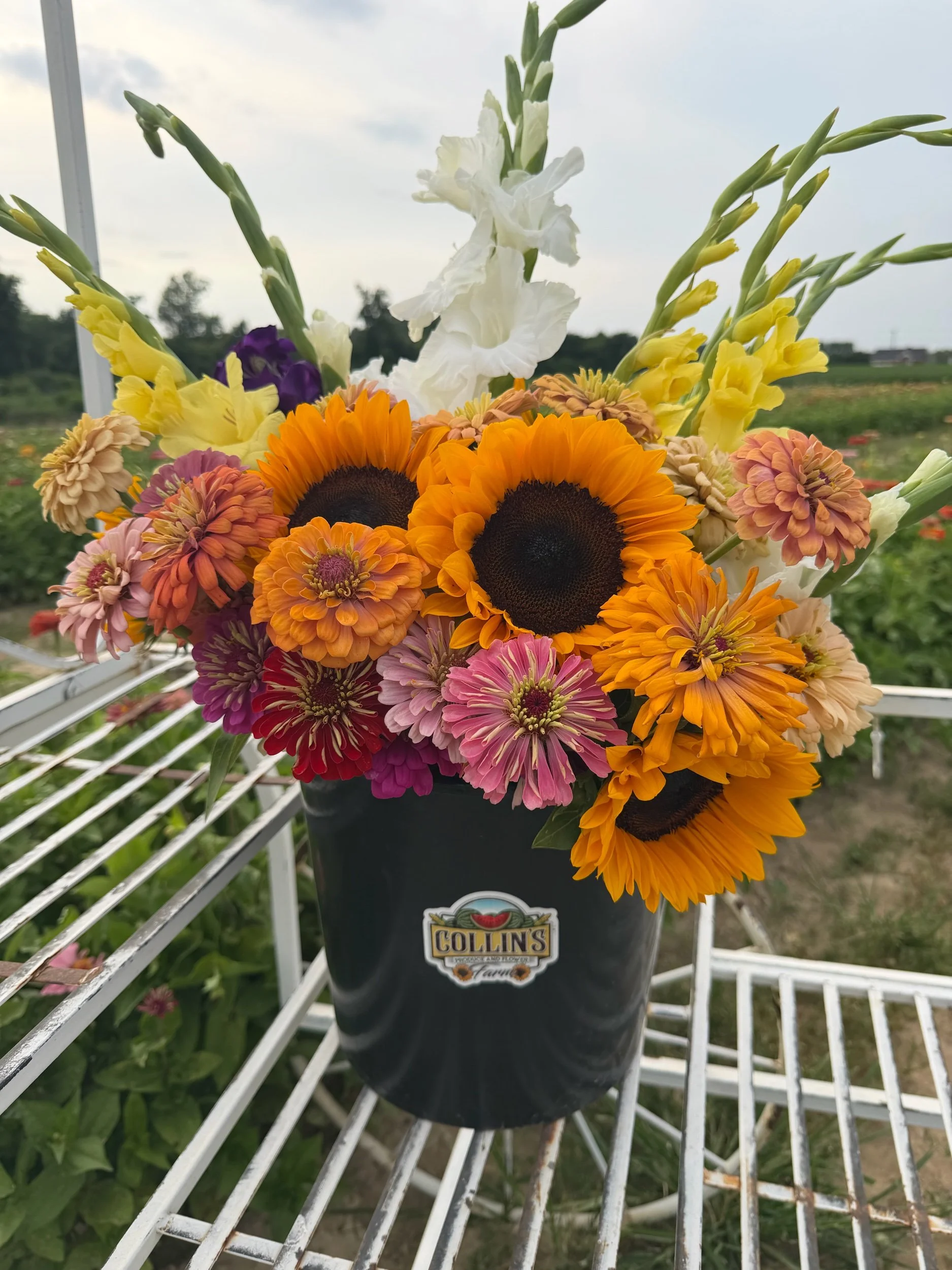 Bloom Buckets