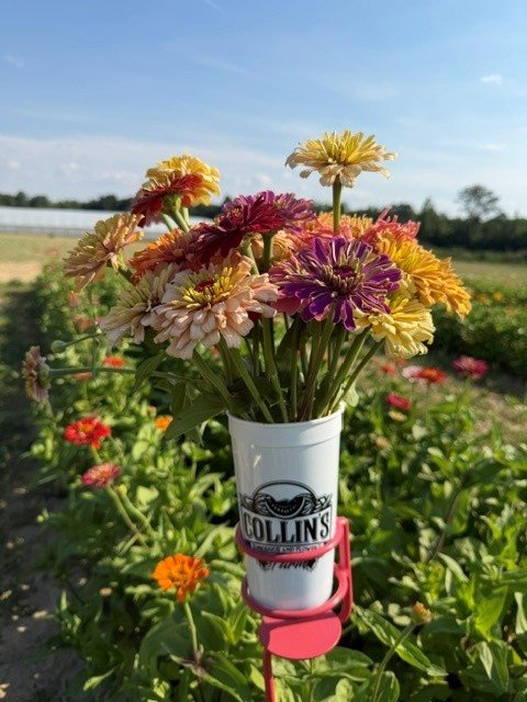 Saturday Evening U-Pick Summer Flowers