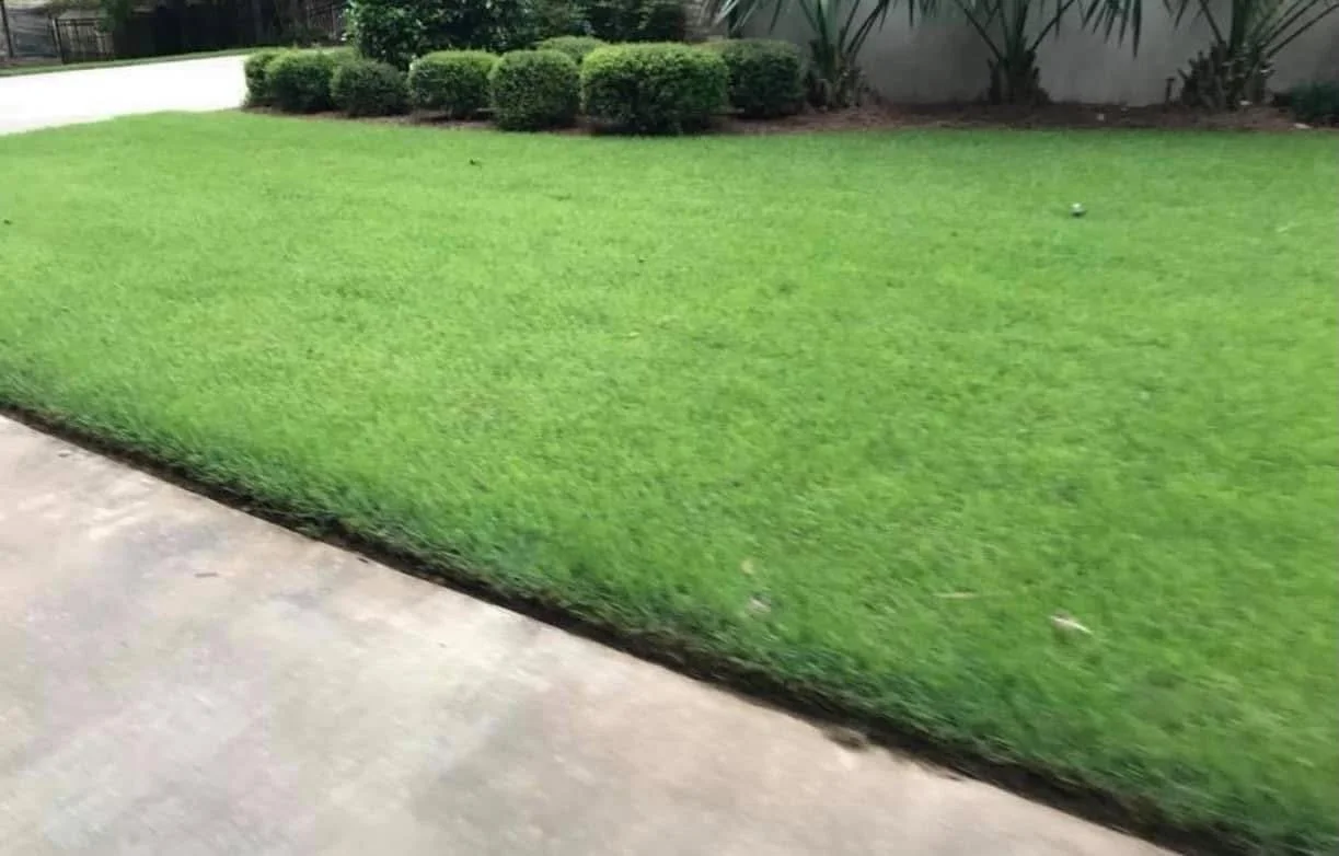 sod and irrigation installation in Mississippi by professional contractors