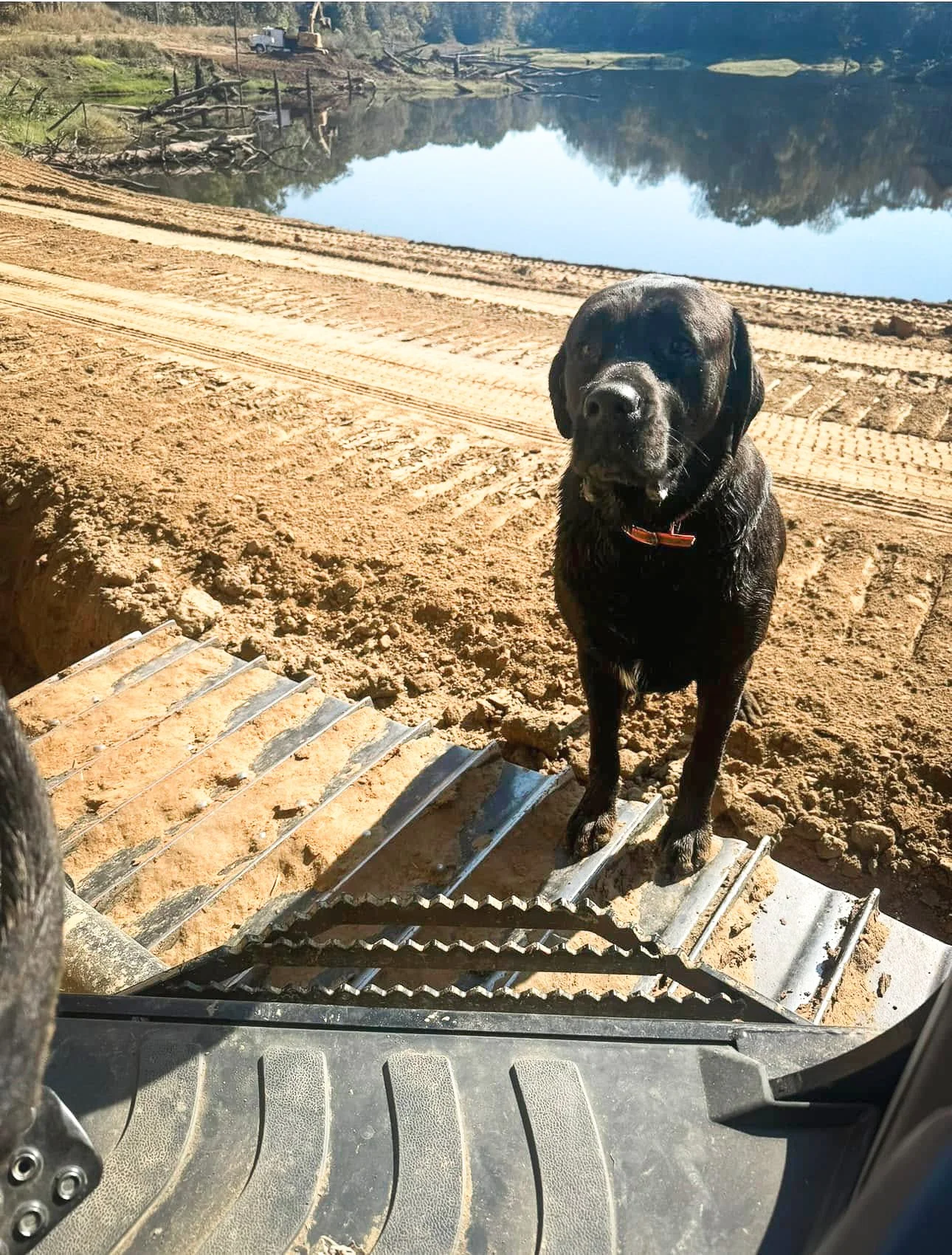 Mississippi pond construction company building a long-lasting pond