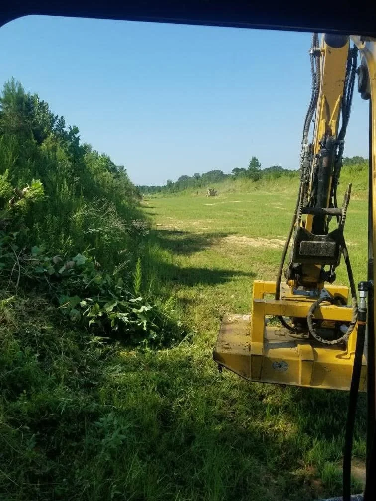 Brush cutting service clearing overgrown property