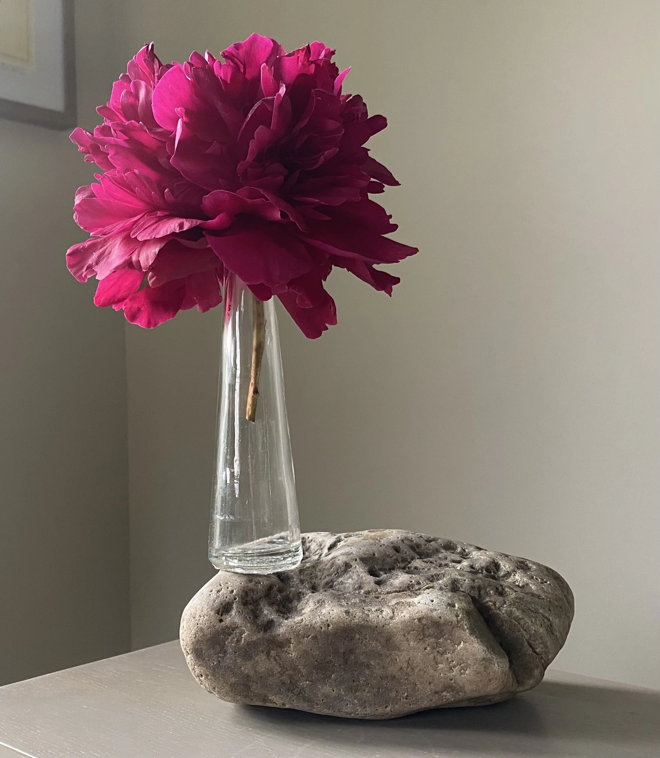 stone sweet potomac dahlia glass 2025.jpg