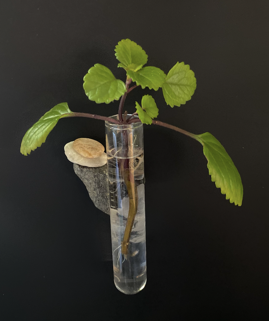 Screenshot 2025-11-24 at 1.40.56 PM.png