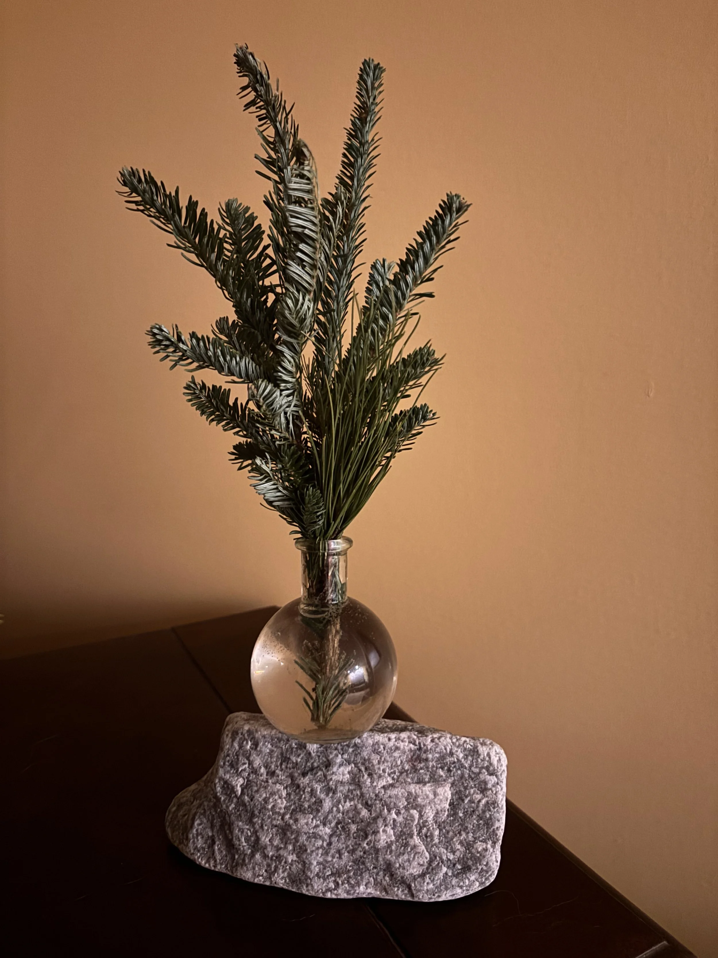 G Lake Michigan Christmas.jpg