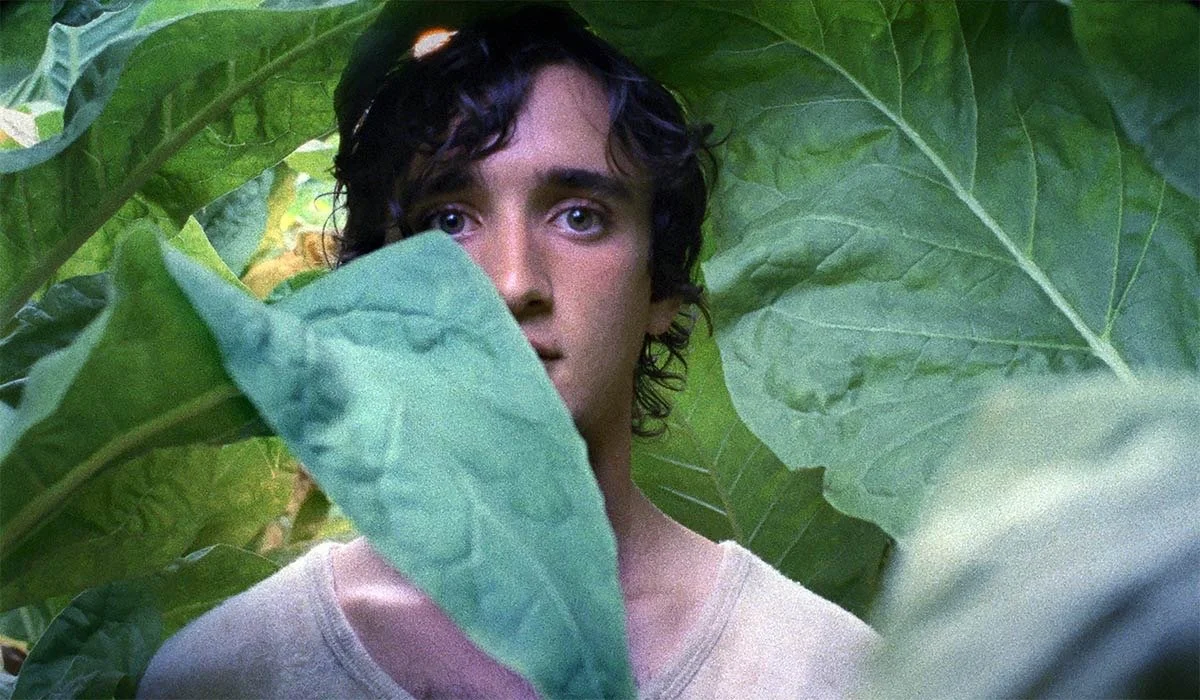 Happy as Lazzaro, dir. Alice Rohrwacher (2018)