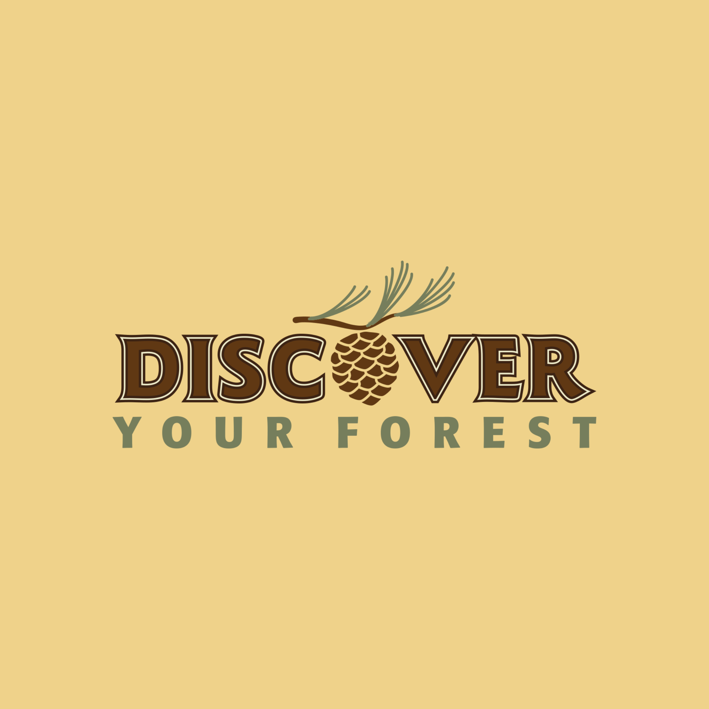 Discover Your Forest