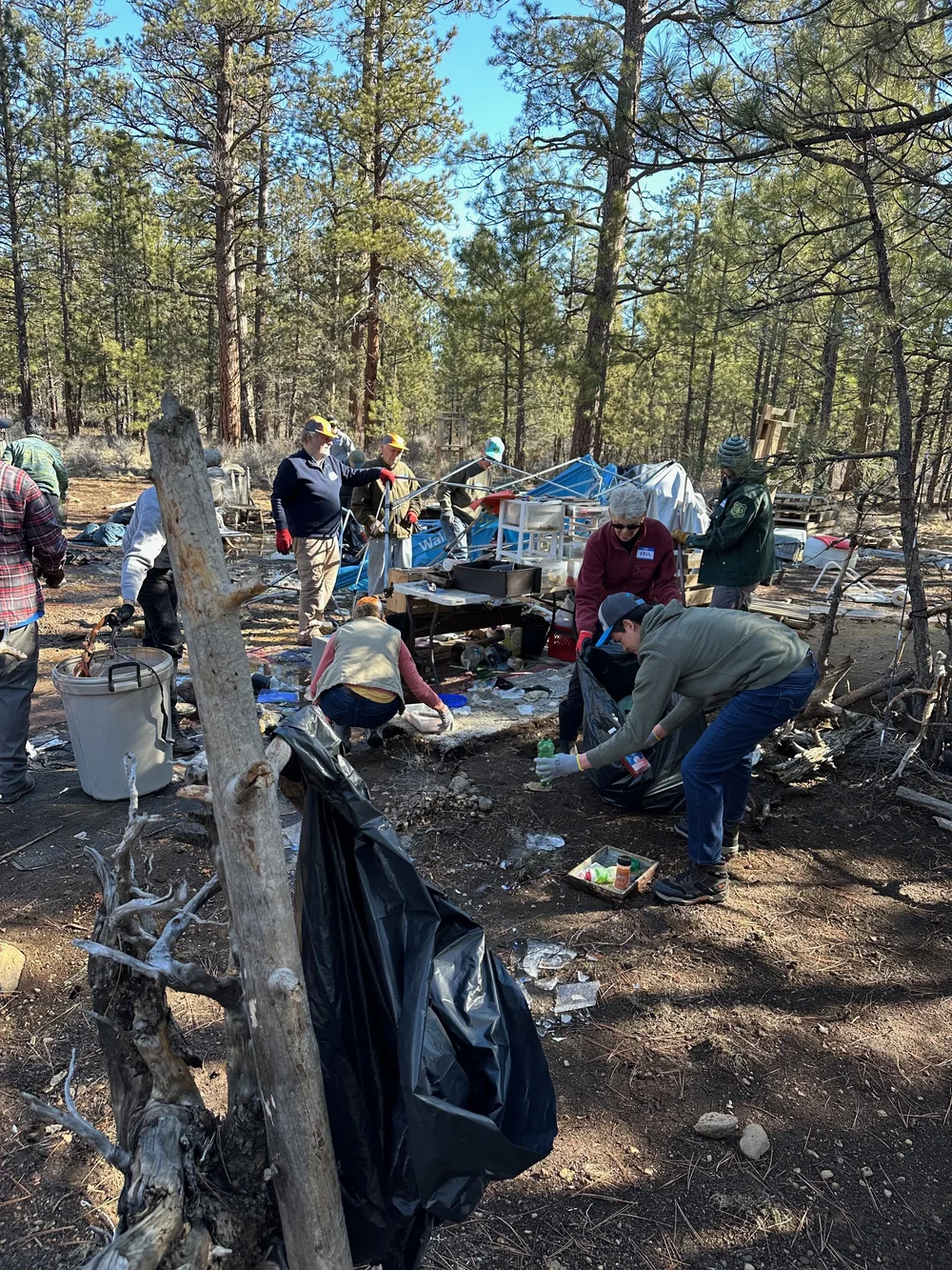 Sorting and Collecting Forest Waste