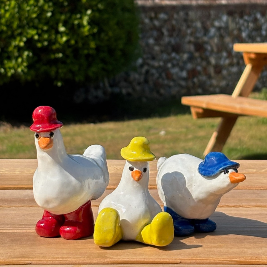 Norfolk Goose