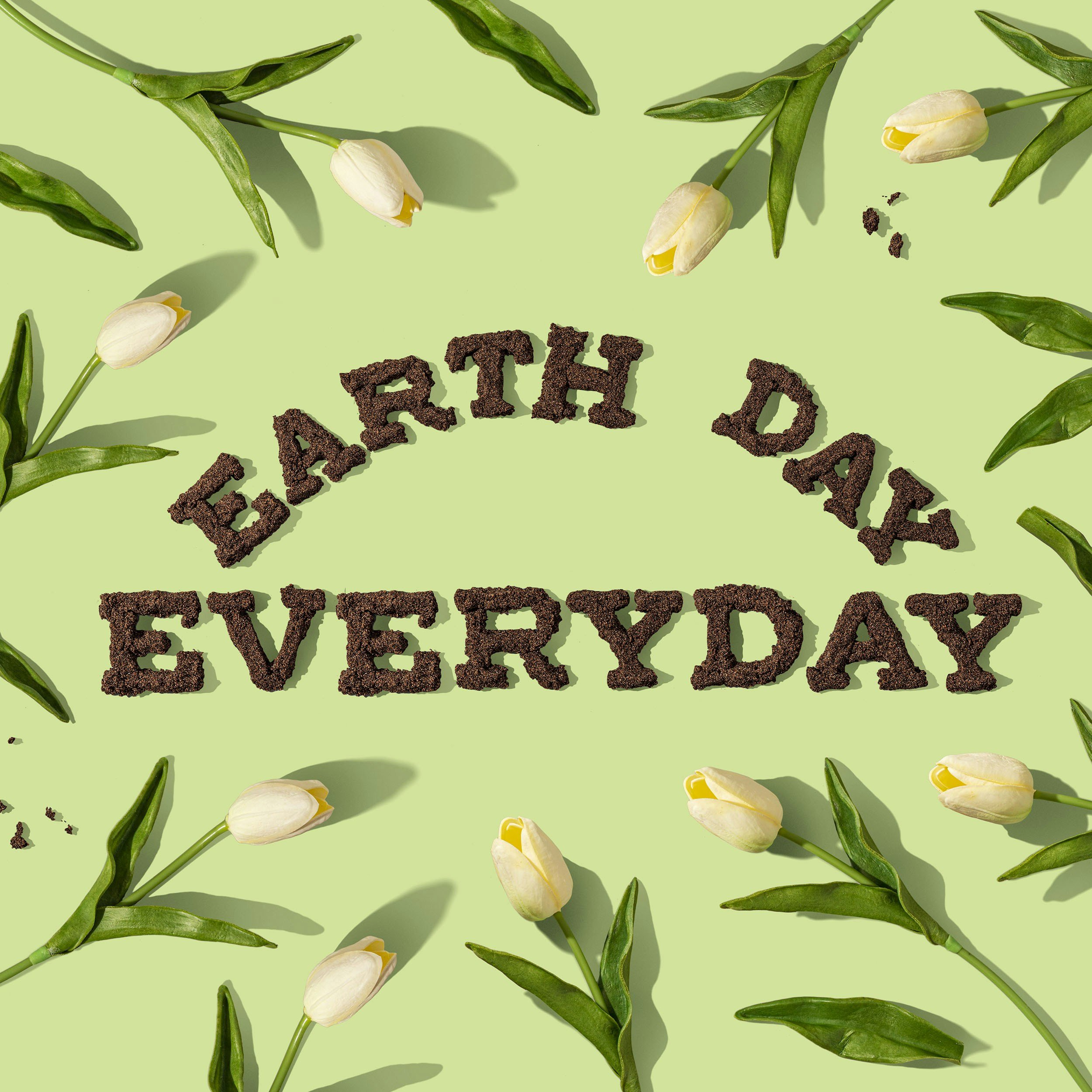 Belvidere Celebrates Earth Day