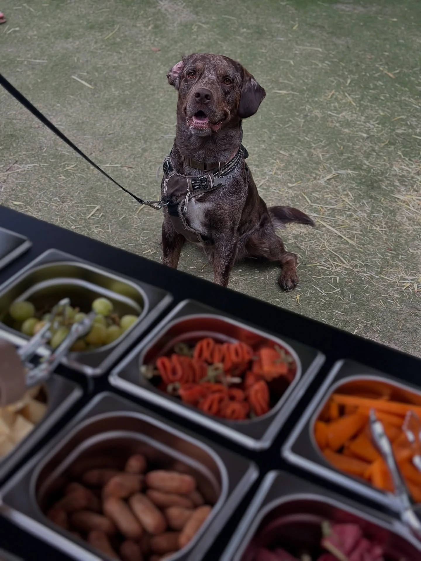 &ldquo;Just a bowl full of all that cheese please ma&rsquo;am&rdquo;

We don&rsquo;t like to have favourite customers, but if we HAD to choose&hellip;. 👀