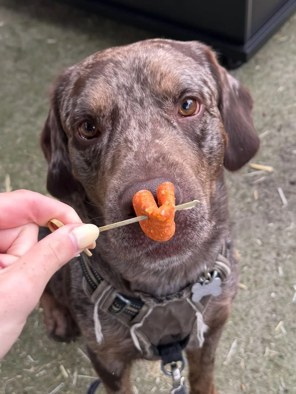 LOVE Honey &amp; Fig 🍯