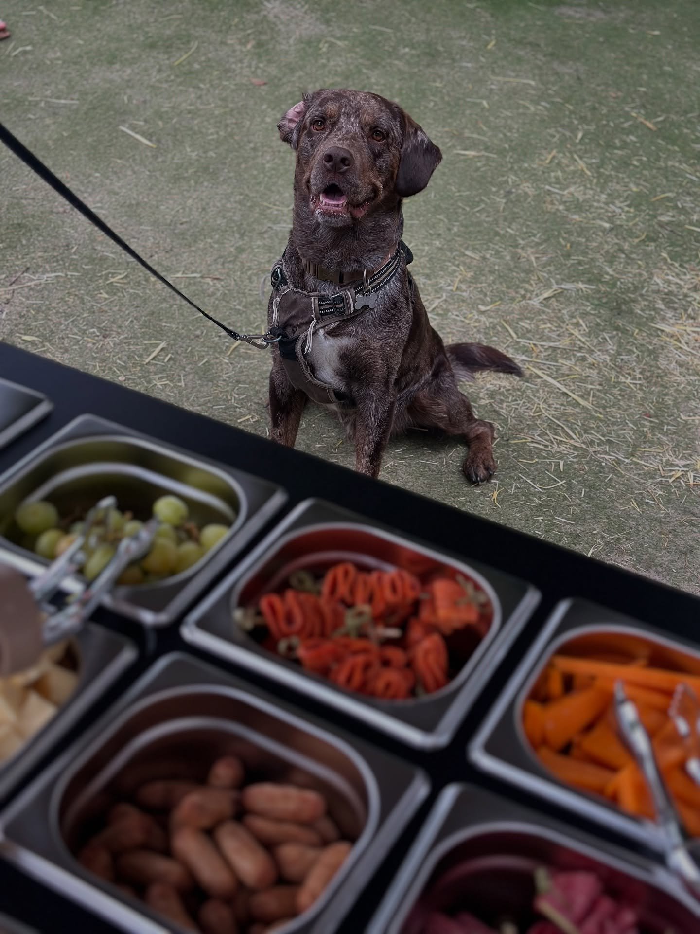&ldquo;Just a bowl full of all that cheese please ma&rsquo;am&rdquo;

We don&rsquo;t like to have favourite customers, but if we HAD to choose&hellip;. 👀