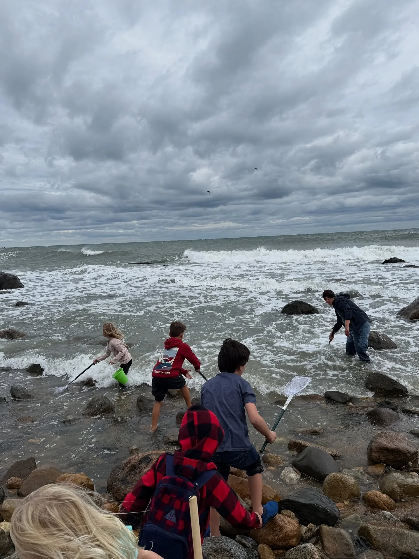 So much fun today with Crystal from the @sofomuseum out at montauk learning all about our local ocean conservation, environment, creatures &amp; fauna! Such a great little lesson and exploration!! 

#homeschoolcommunity #homeschoolmom #enrichmentclas