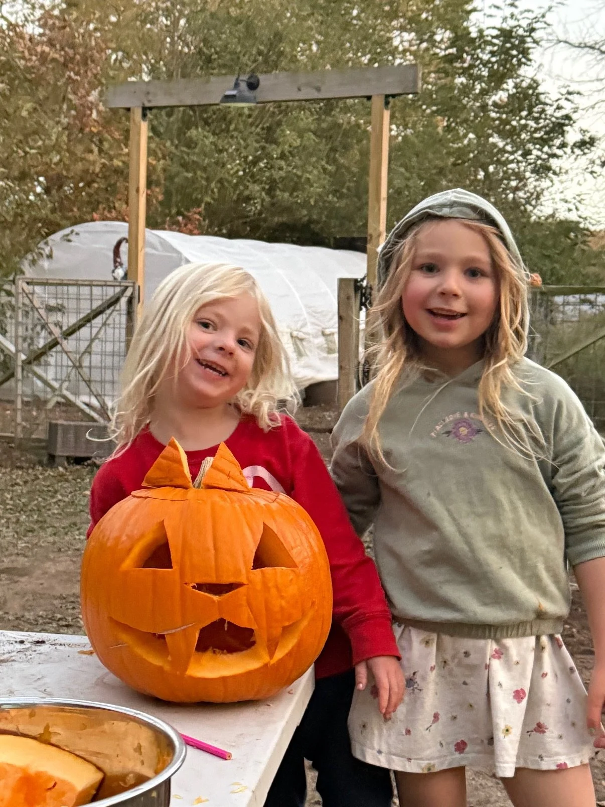 These two are silly!!! The goats and dogs are also crazy 😝 
We grew all our pumpkins this year from heirloom seeds and now get to carve them and save the seeds for next year! Clearly they had a LOT of fun! 

#homegrown #homegrownpumpkins #growyourow