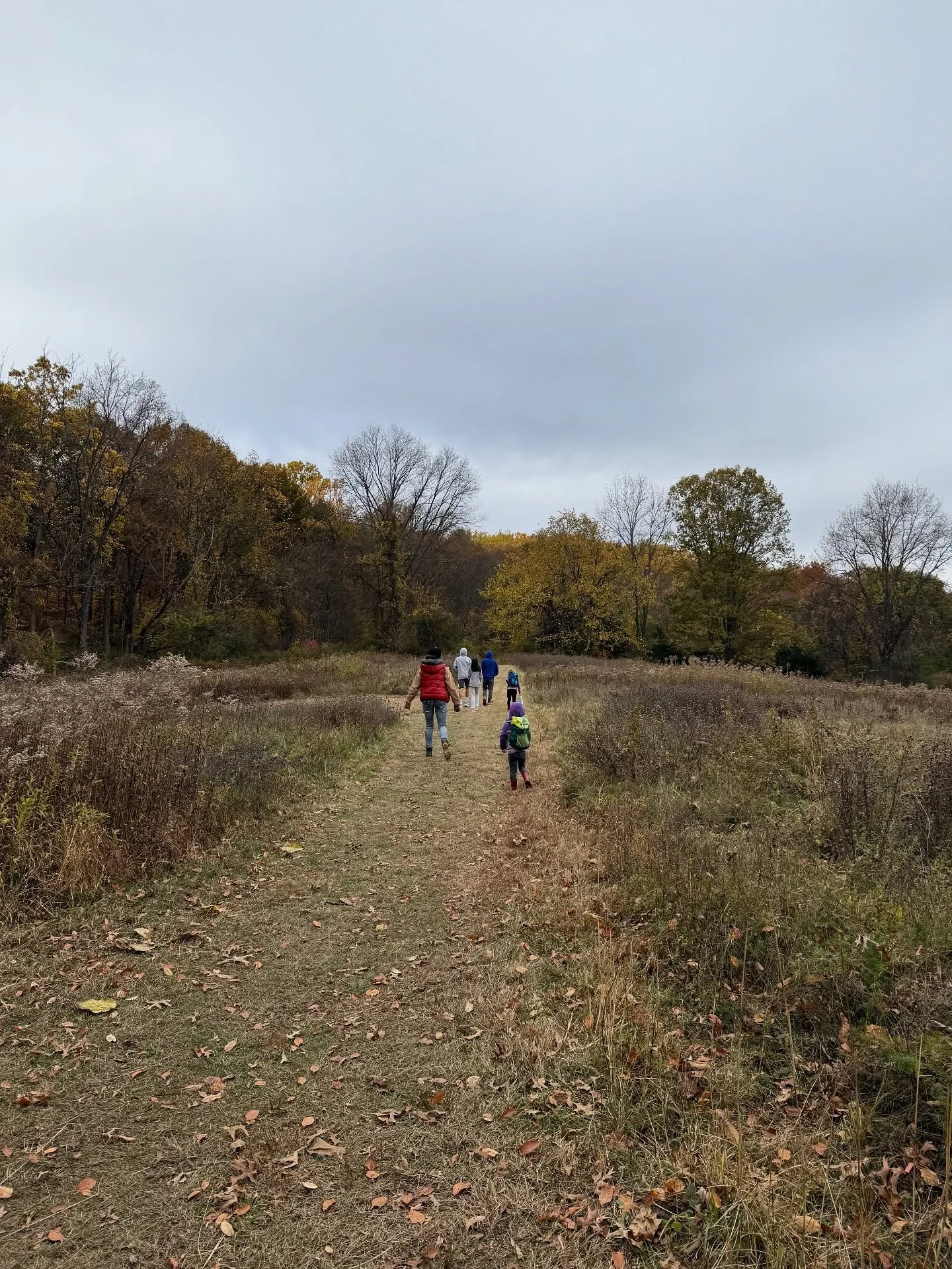 Our first off island hiking trip was so much fun, even if liana wanted to pout the whole time. Perfect fall views for sure! They can&rsquo;t wait to go on the next one and I will definitely be wearing my backpack carrier next time 😆

#upstateny #let