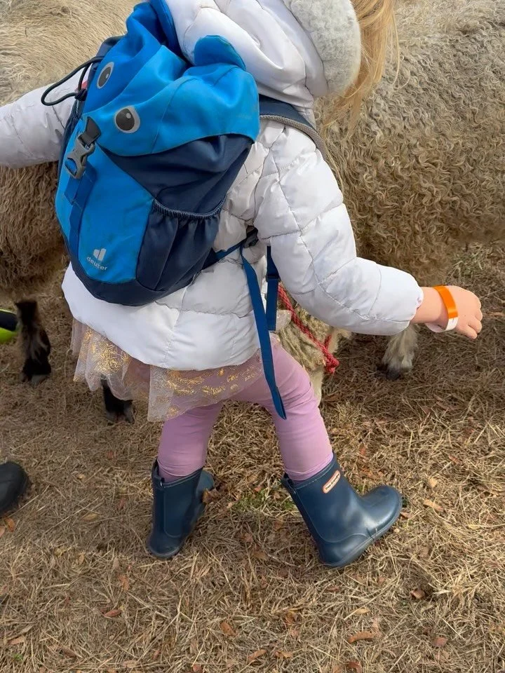 So much fun watching the sheep shearing class at @suffolkcountyfarm today even with the wind &amp; snow!!

#sheep #sheepshearing #woolfelt #nosuchthingasbadweather #1000hoursoutside #letthemexplore #falladventures #homeschoolcommunity #homeschoolmom