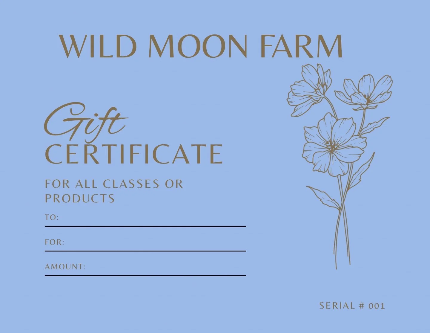 BLACK FRIDAY SPECIAL!! From now until small business Monday (12/1) if you buy a gift certificate you will get an extra $10 towards it for free for every $50 you spend! This can be used towards any classes, series or farm stand products! 
Spend $50, t
