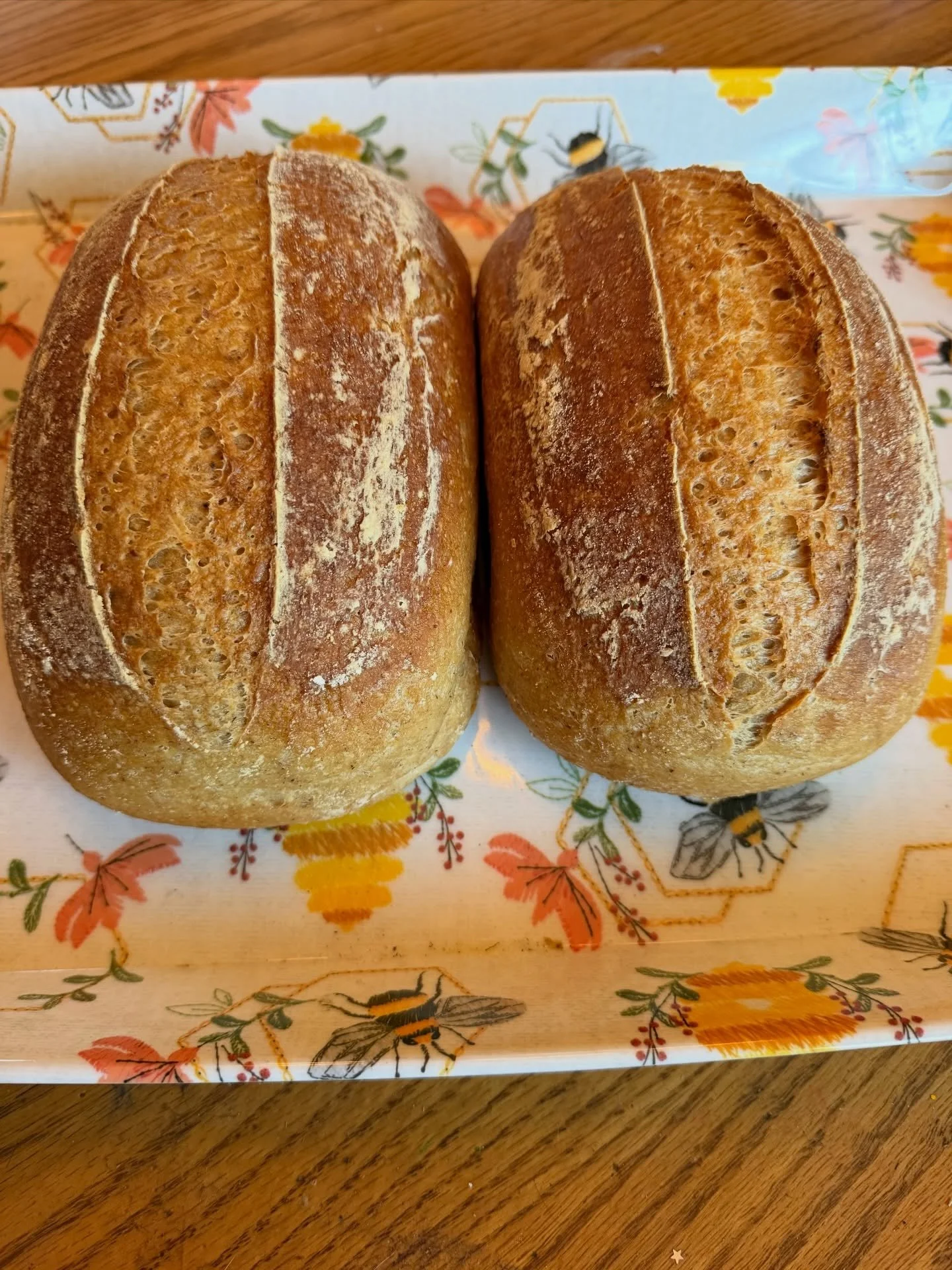 These organic gluten free sourdough loaves look and smell so yummy!! Order anytime in bio or here: https://forms.gle/njvbUh9FTHHaTnqp9

#glutenfree #glutenfreesourdough #vegan #longislandfoodie #longislandglutenfree
