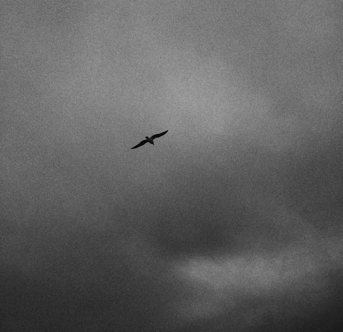 mariner