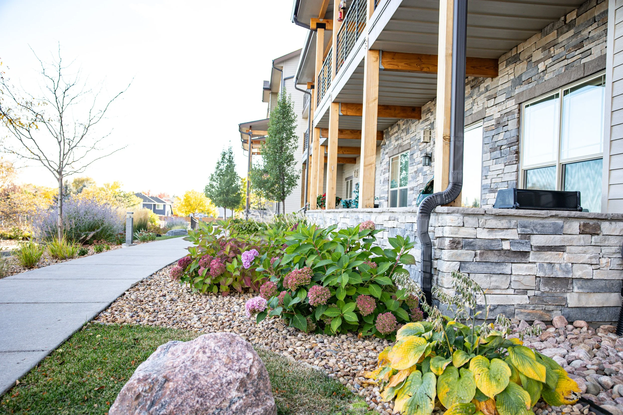 MorningStar_edit 11a.jpg