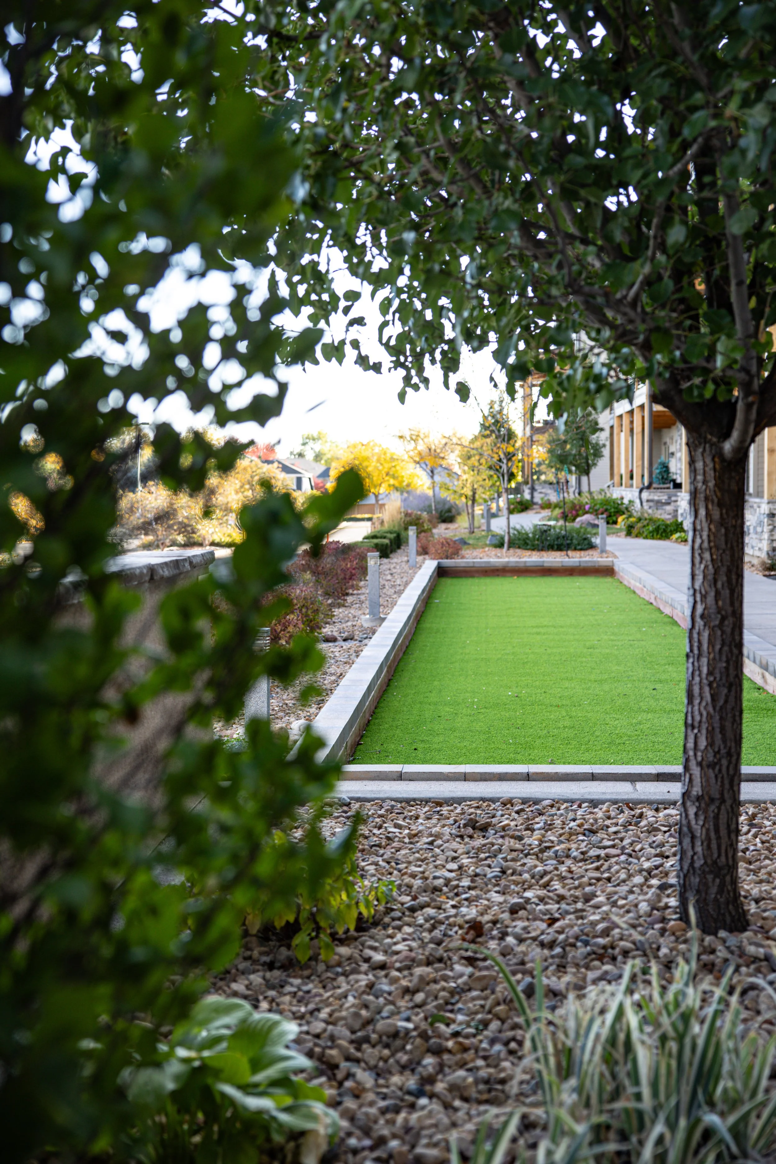 MorningStar_edit 6a.jpg