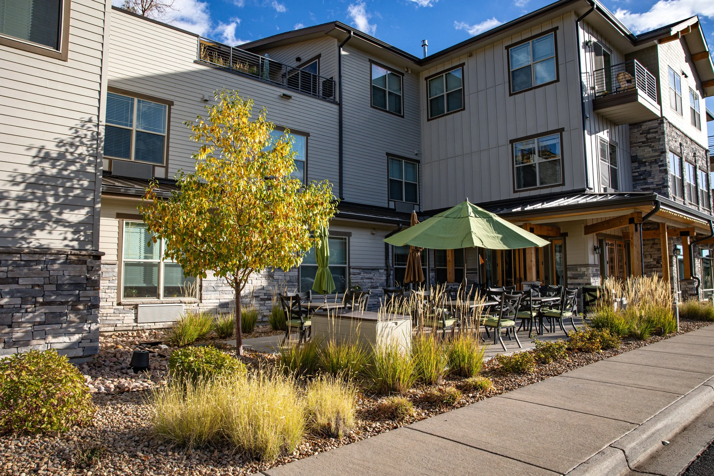 MorningStar_edit 2a.jpg