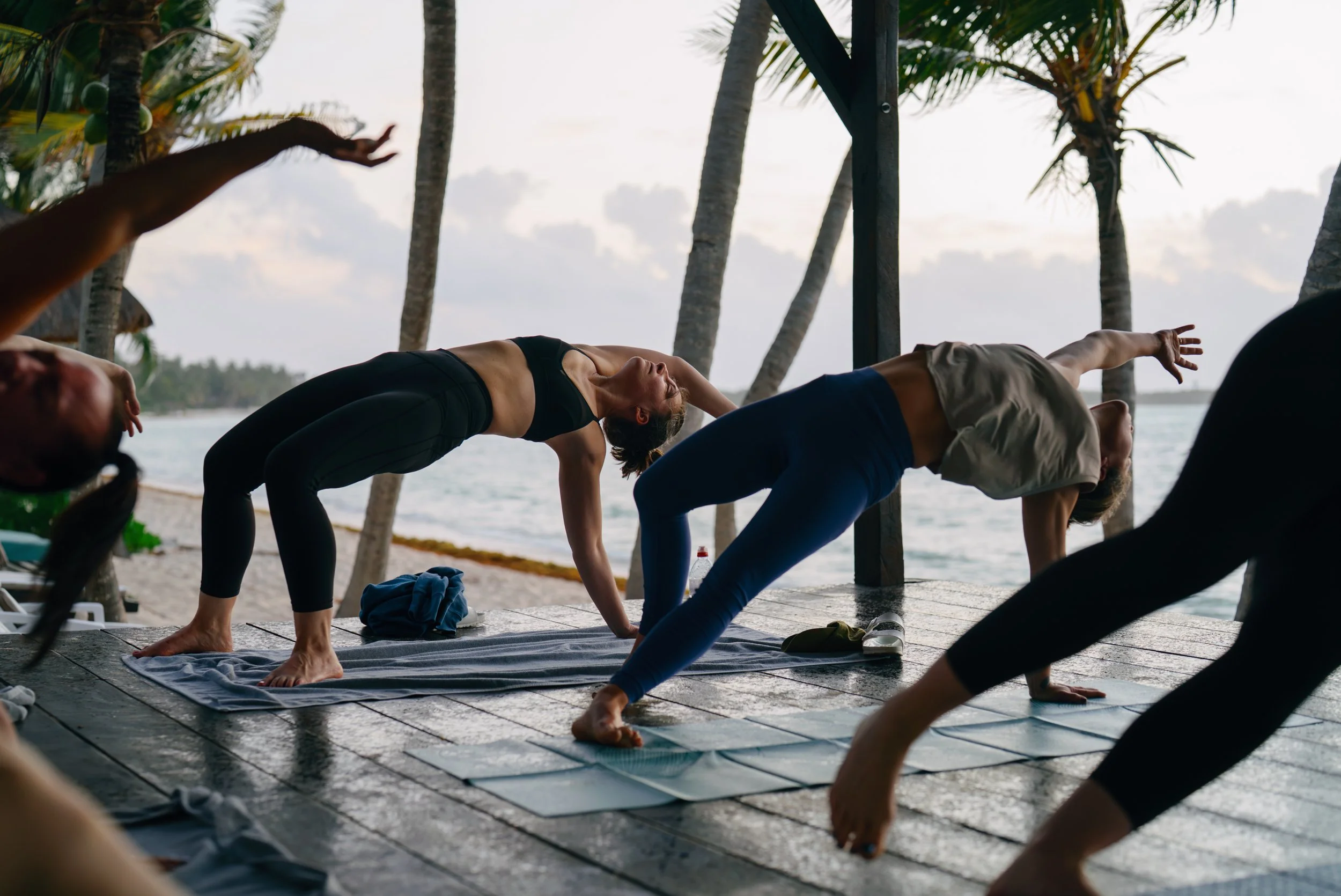 People practicing yoga on a beachside deck with palm trees and water in the background during sunrise or sunset.