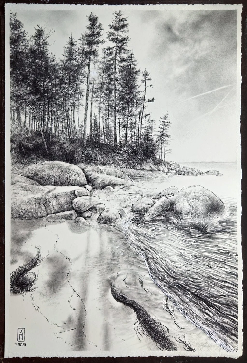 James Mundie's drawing of beach in coastal Maine between tides, with wracklines of seaweed in the sand, and evergreen trees on a granite ledge in the distance.