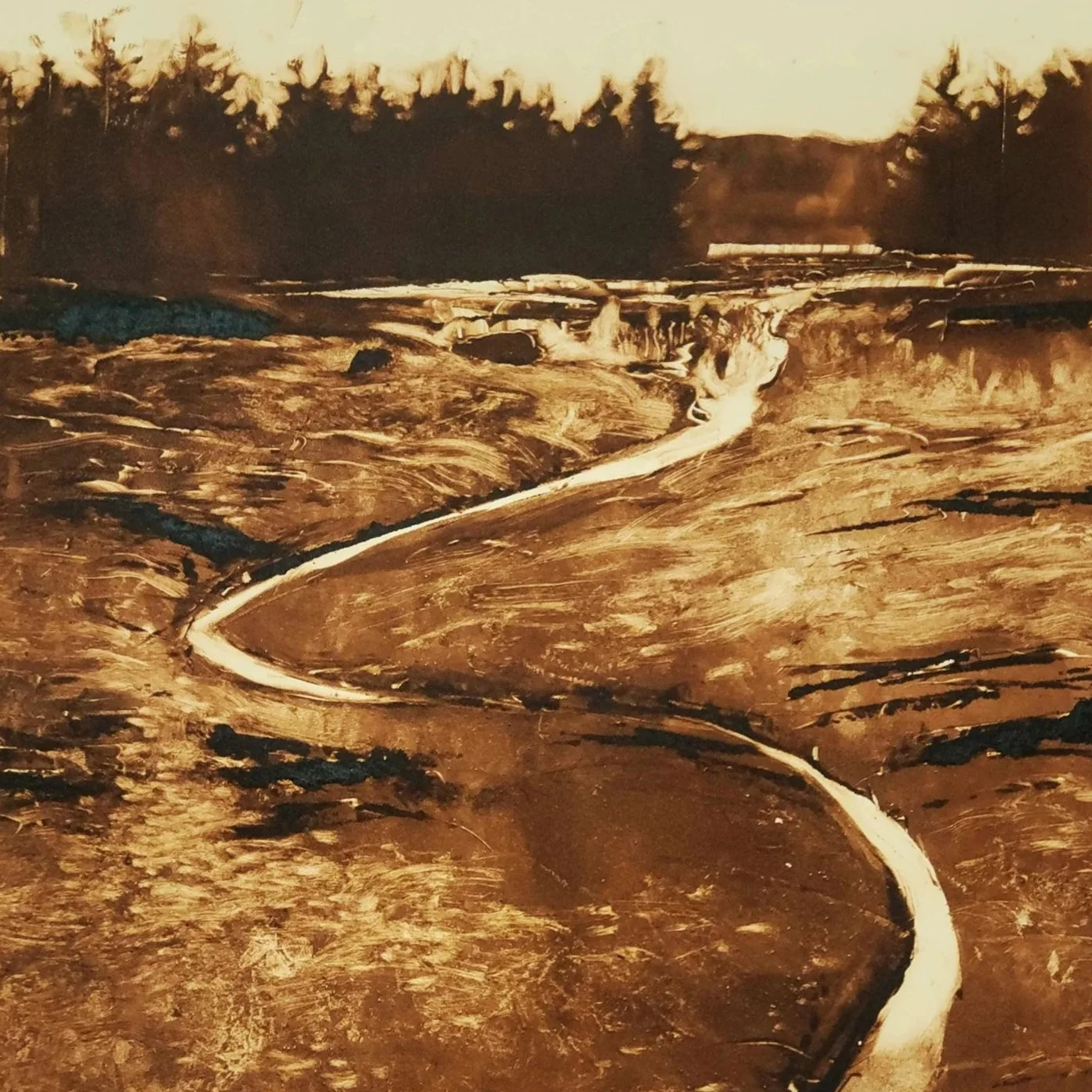 Low Tide (Deer Isle, Maine)
