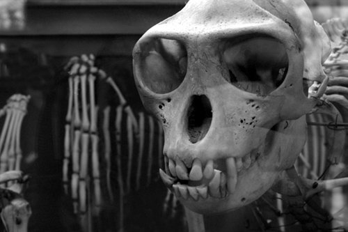 jdp-3-bw.jpg