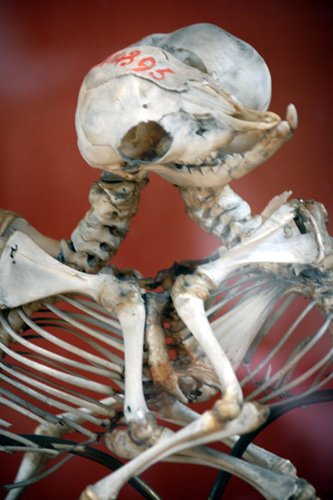 jdp-8.jpg